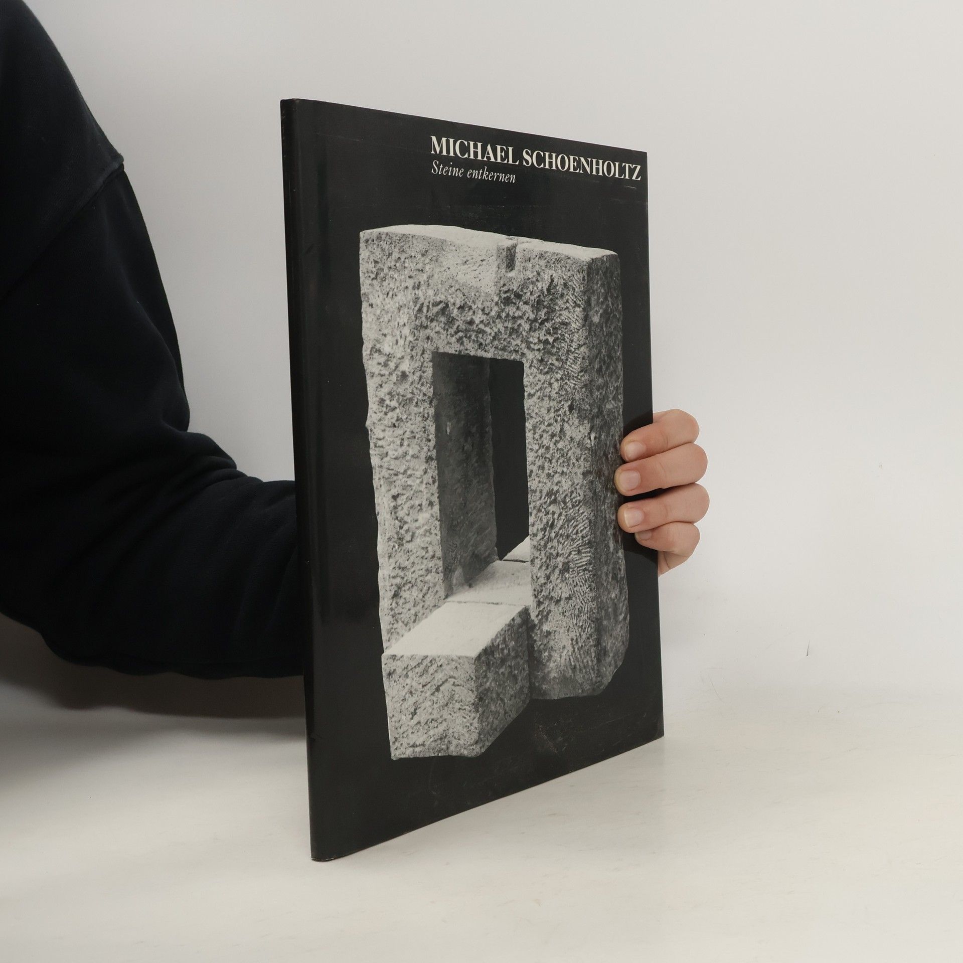 AA.VV. Michael Schoenholtz