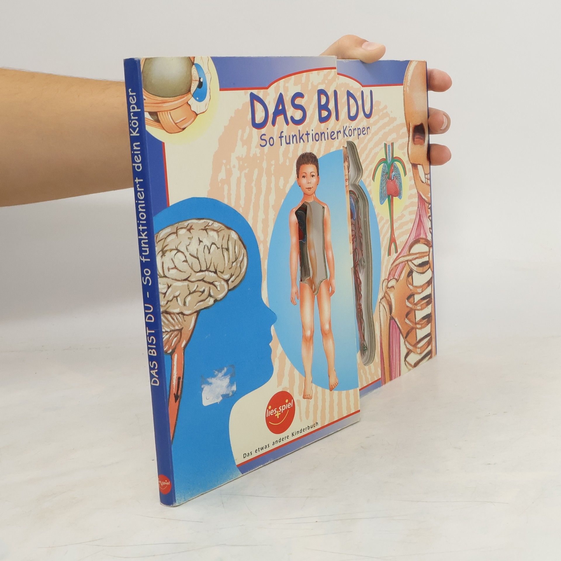 kolektiv Das bist Du - So funktioniert dein Körper -