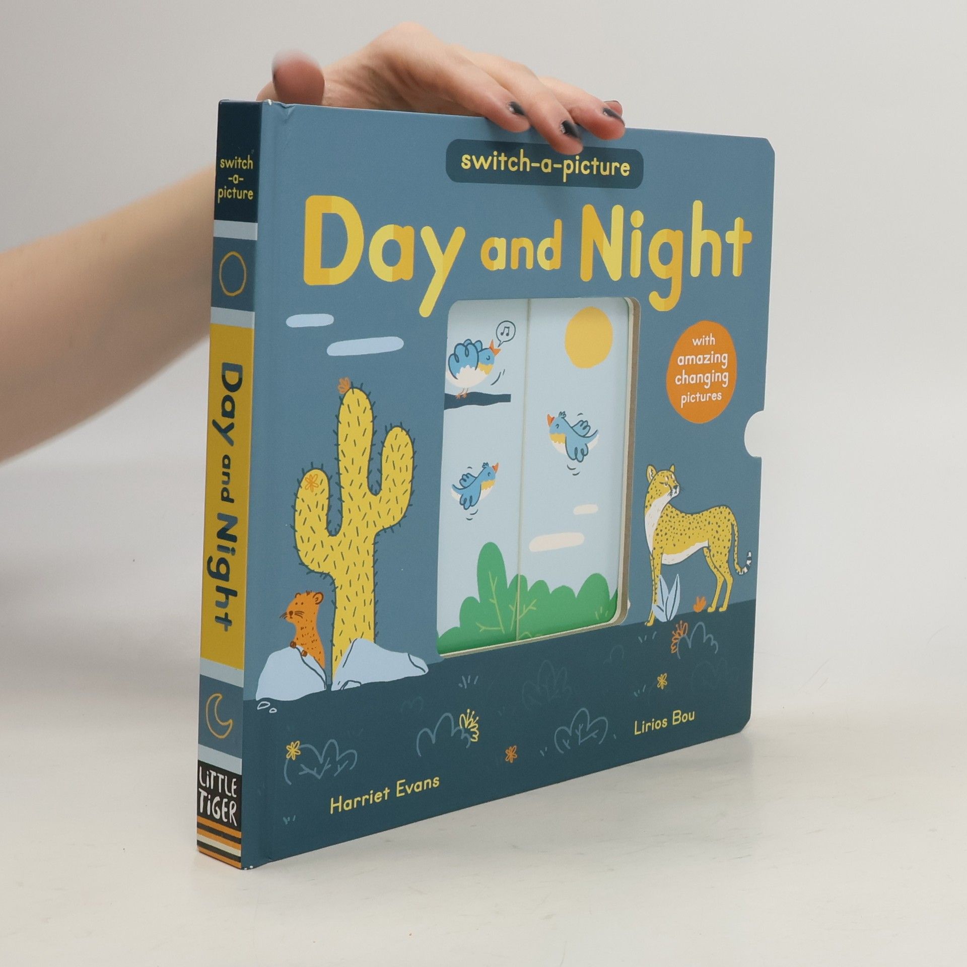 Harriet Evans Day and Night