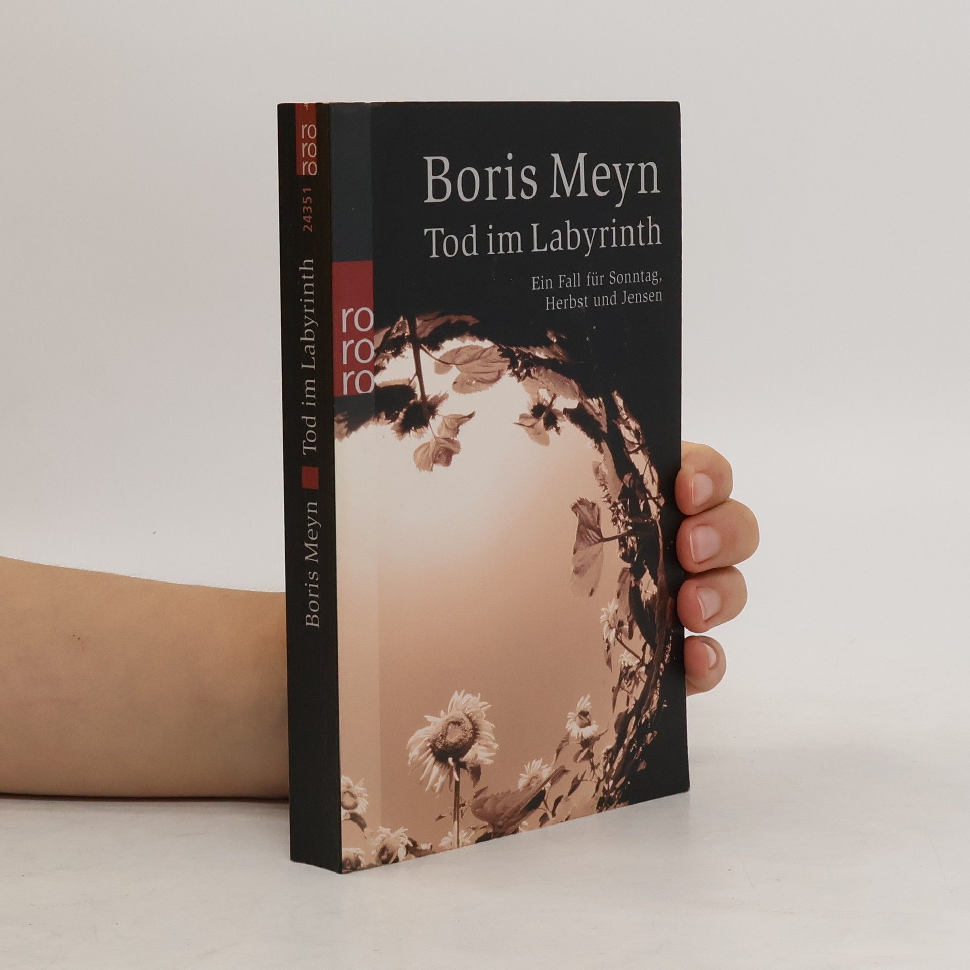 Boris Meyn Tod im Labyrinth