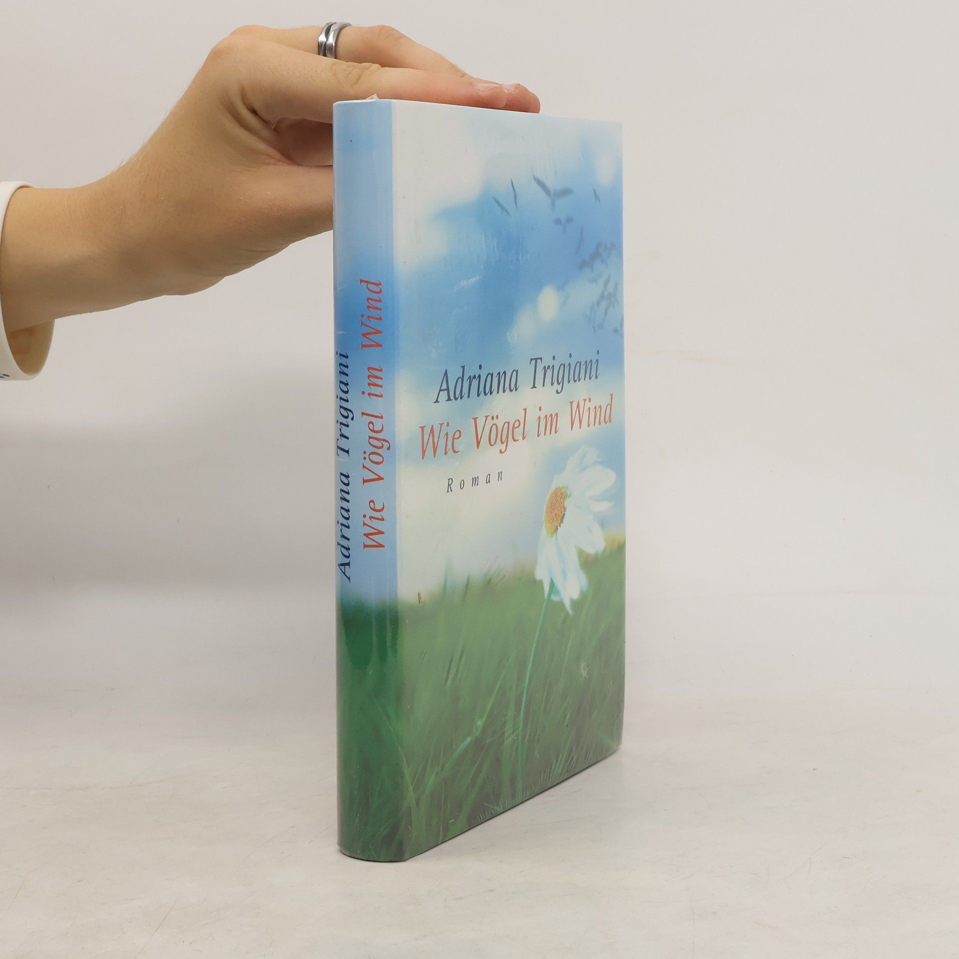Adriana Trigiani Wie Vögel im Wind