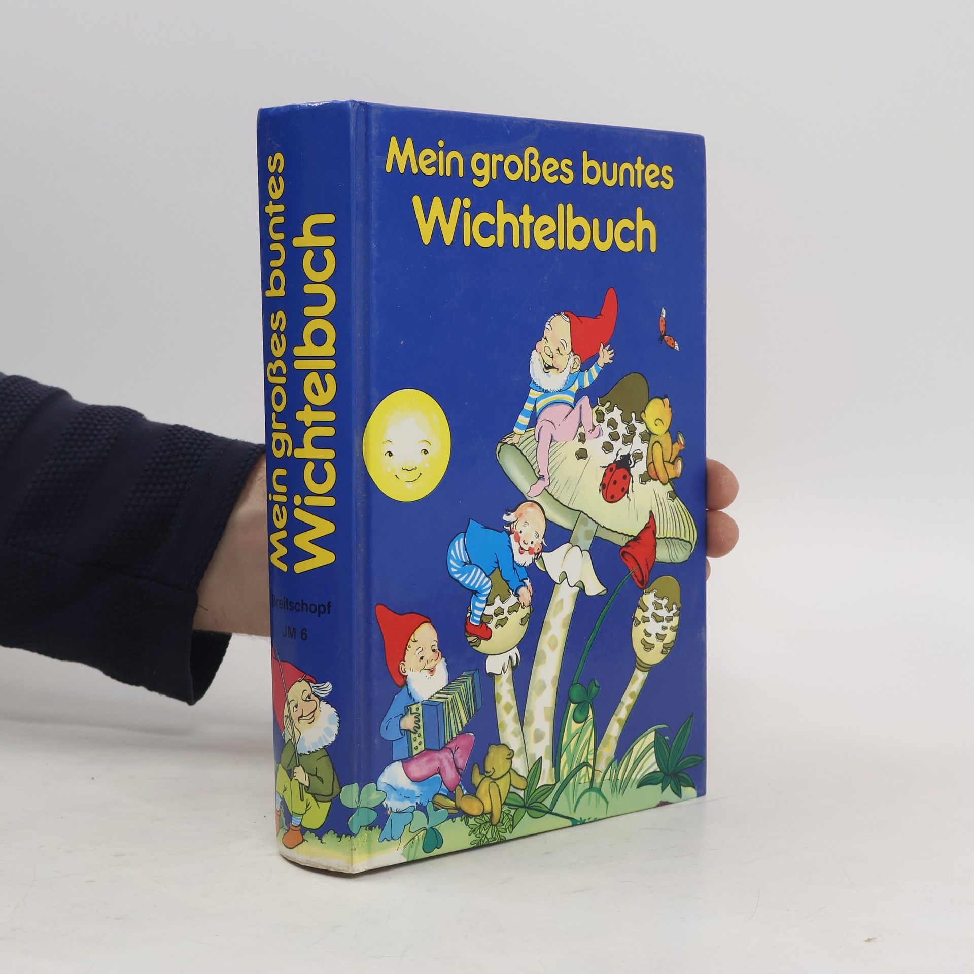 Autorenkollektiv Mein großes buntes Wichtelbuch