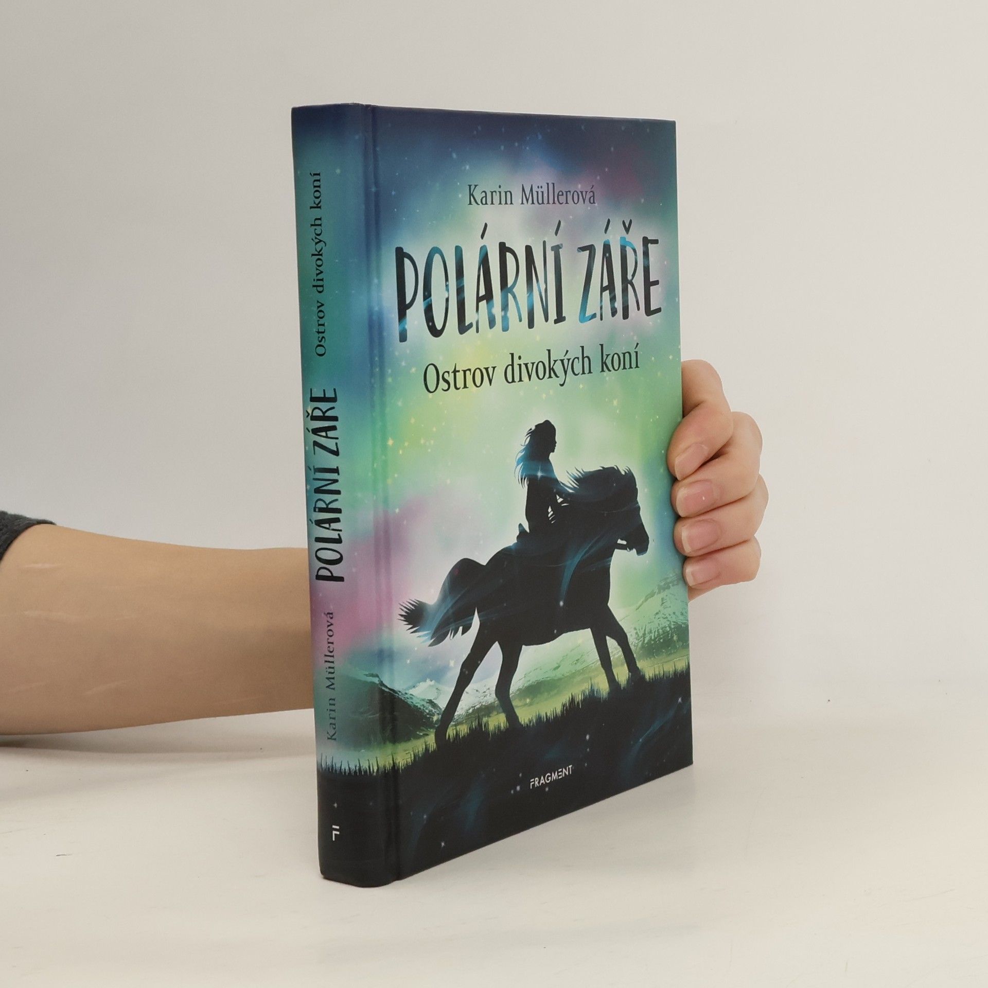 Karin Elke Polární záře. Ostrov divokých koní