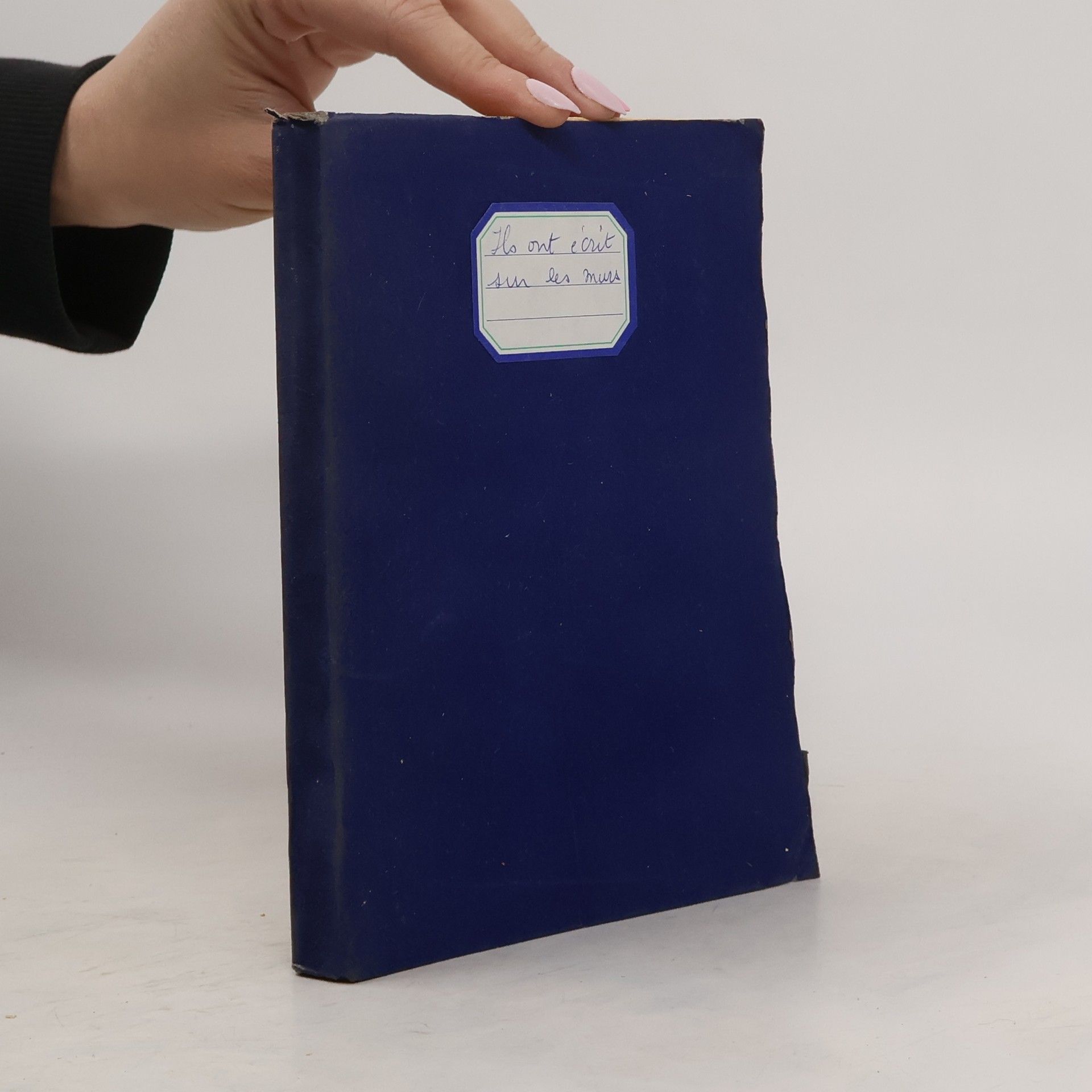 M. T. de Ficquelmont Ils ont écrit sur les murs