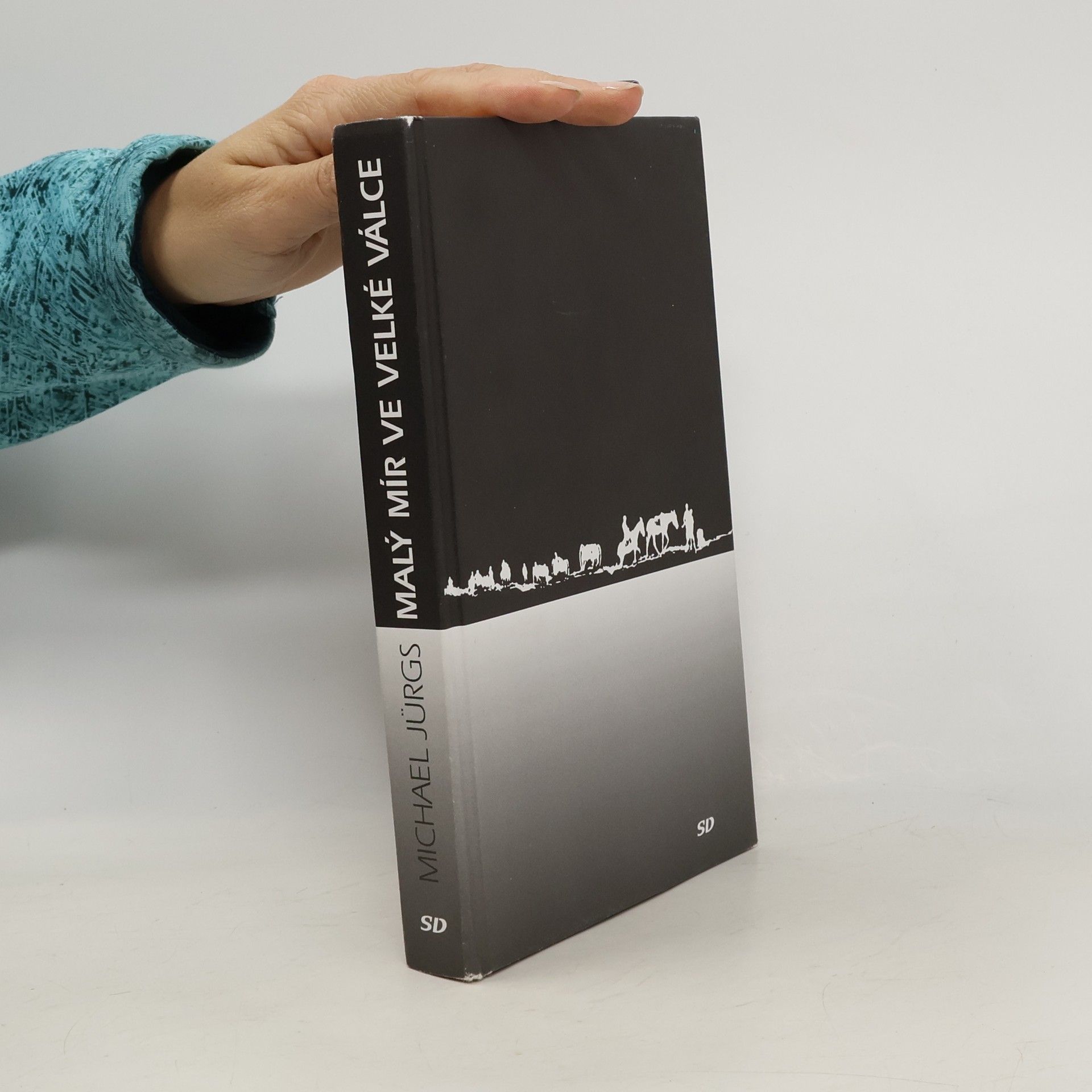 Michael Jürgs Malý mír ve velké válce. Západní fronta 1914.