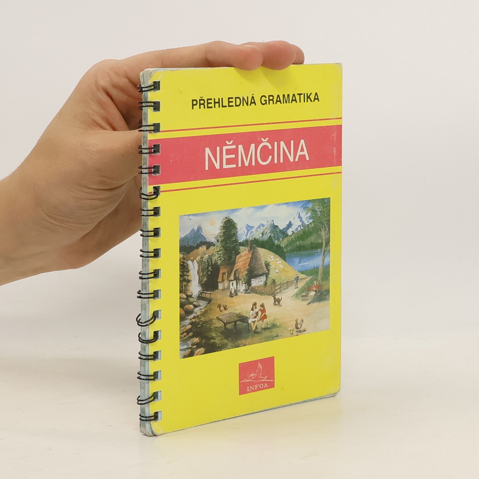 Němčina. Přehledná gramatika