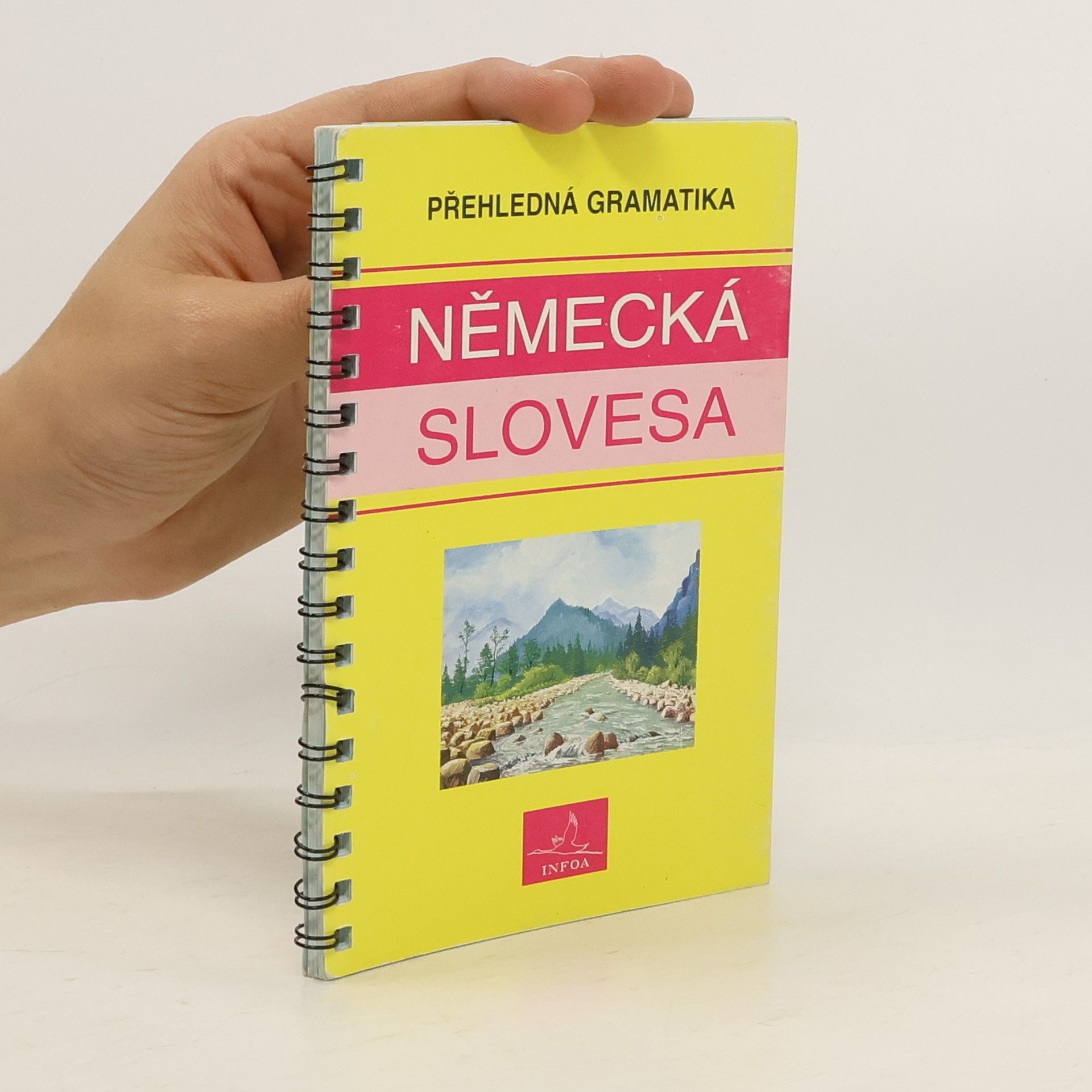 Autorenkollektiv Německá slovesa : přehledná gramatika