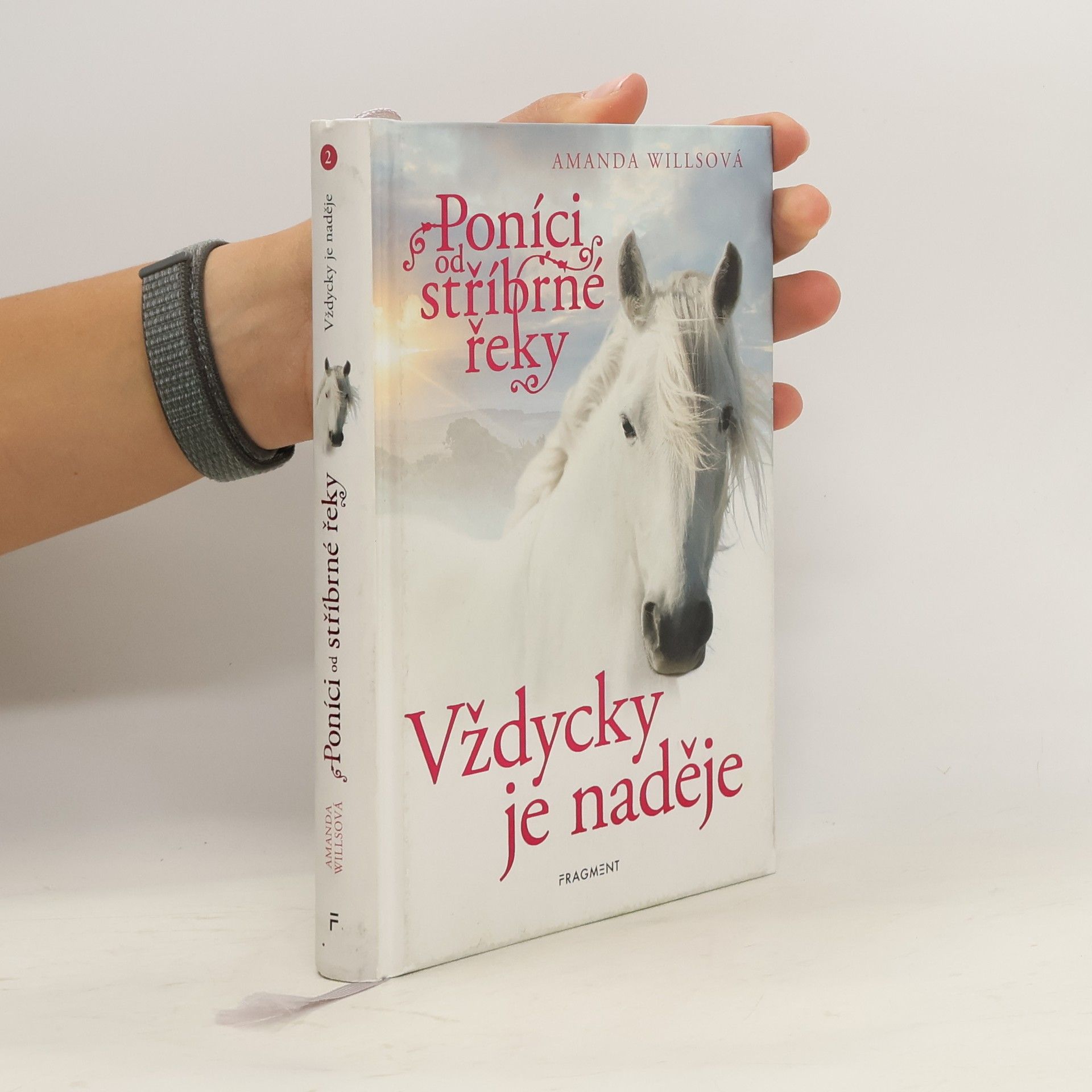 Amanda Wills Vždycky je naděje