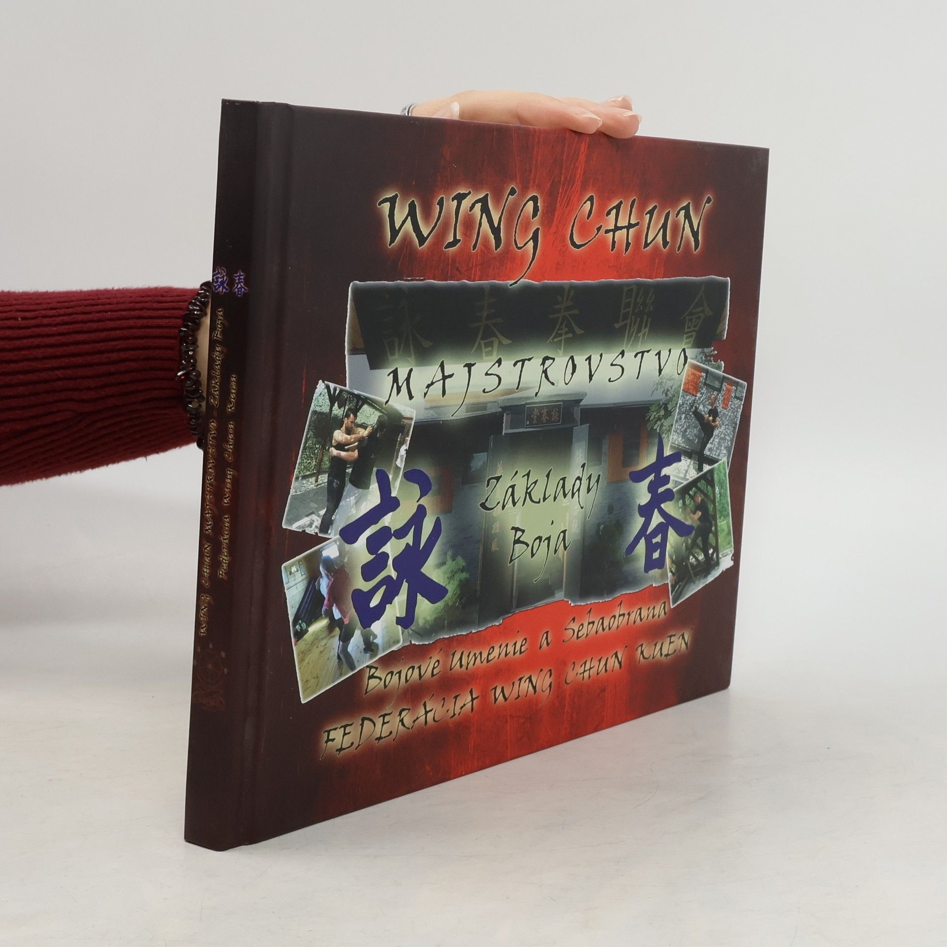 Juraj Povinec Wing Chun Majstrovstvo. Základy Boja + DVD