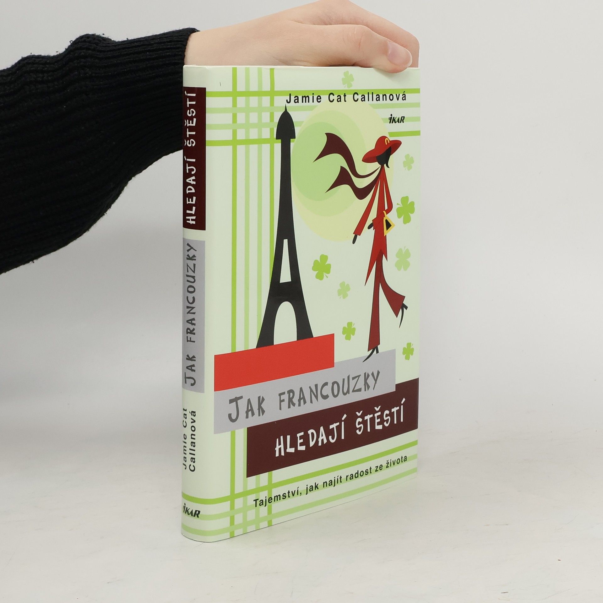 Jamie Callan Jak Francouzky hledají štěstí. Tajemství, jak najít radost ze života