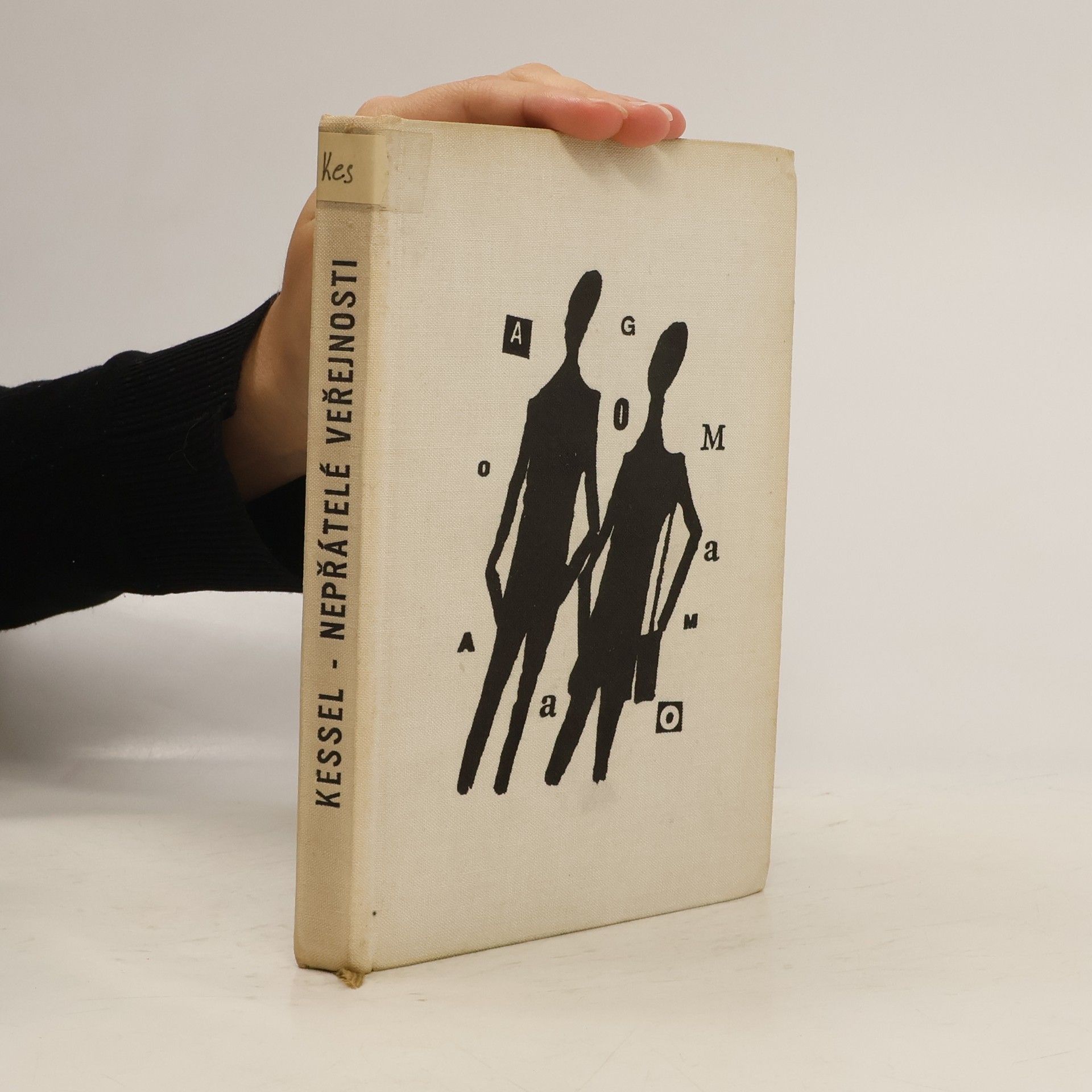 Patrick Kessel Nepřátele veřejnosti