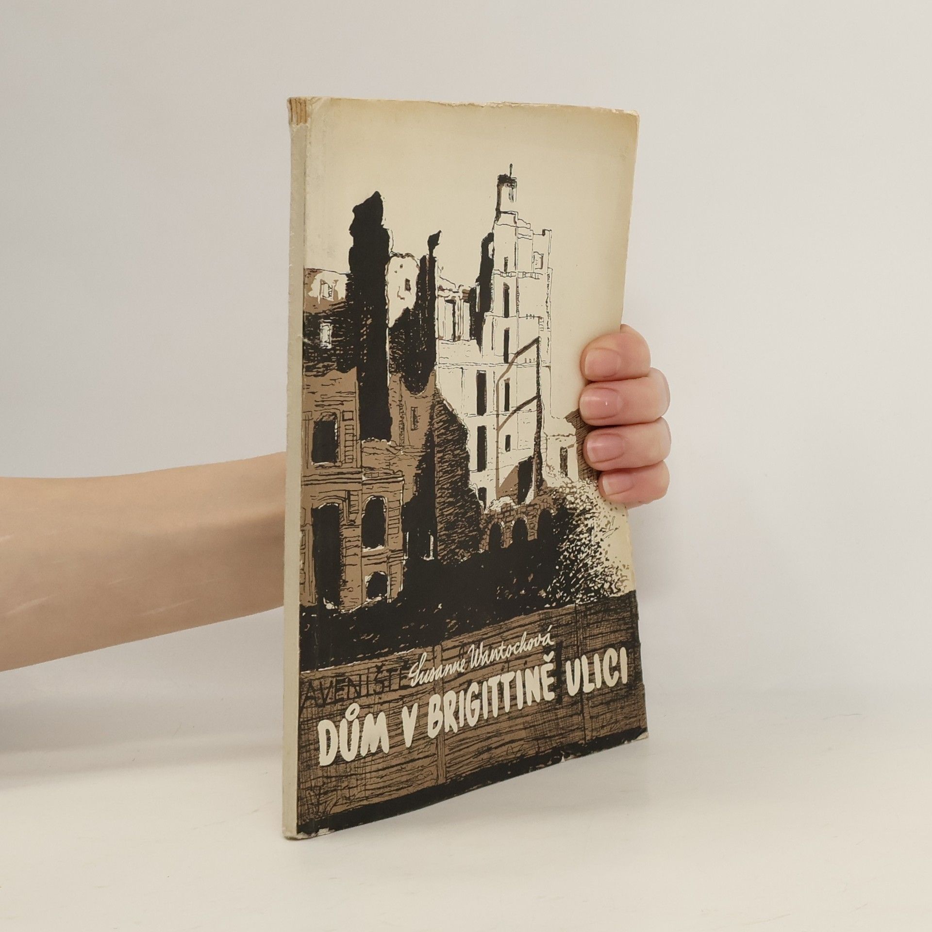 Wantochová Susanne Dům v Brigittině ulici