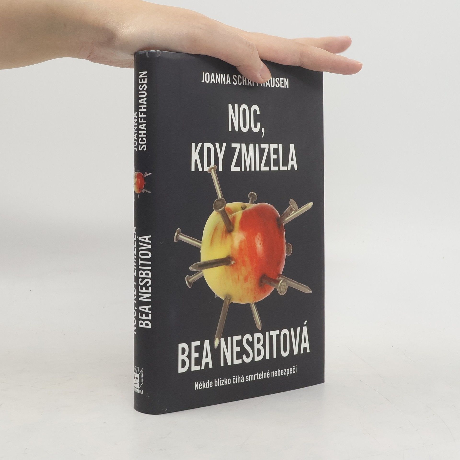 Joanna Schaffhausen Noc, kdy zmizela Bea Nesbitová