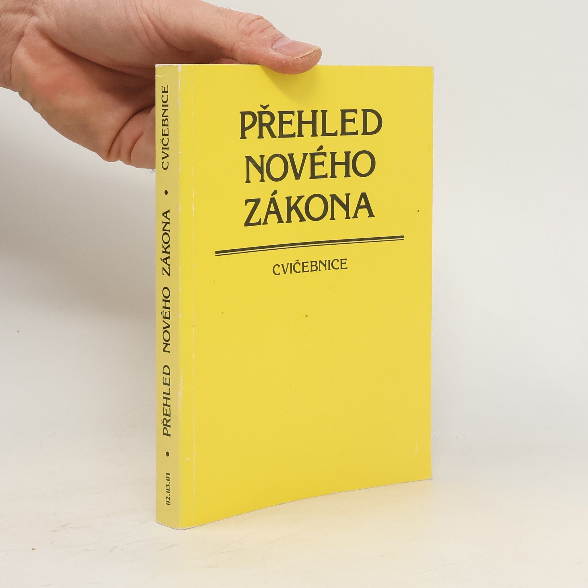 Jesse K. Moon Přehled Nového zákona : cvičebnice