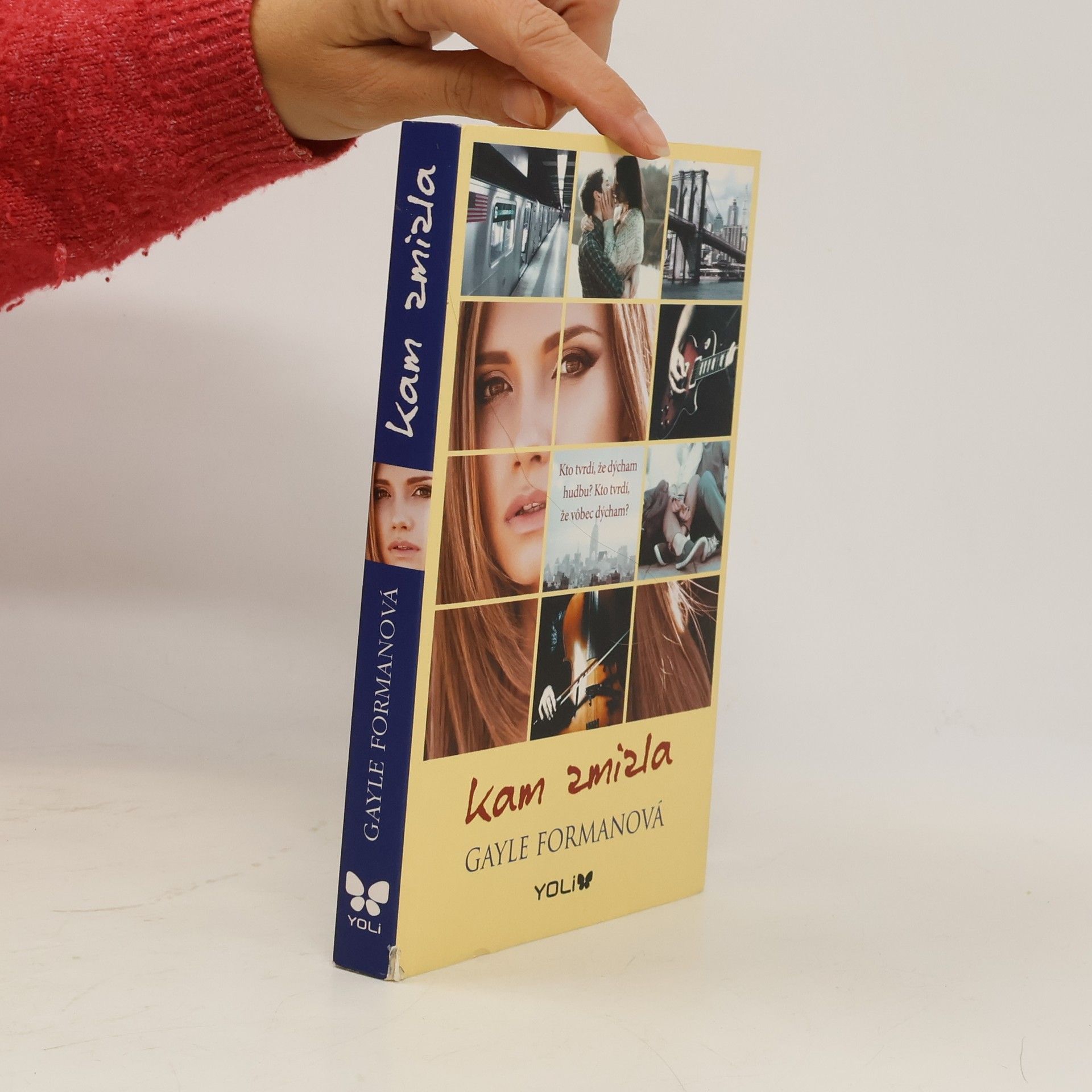 Gayle Forman Kam zmizla