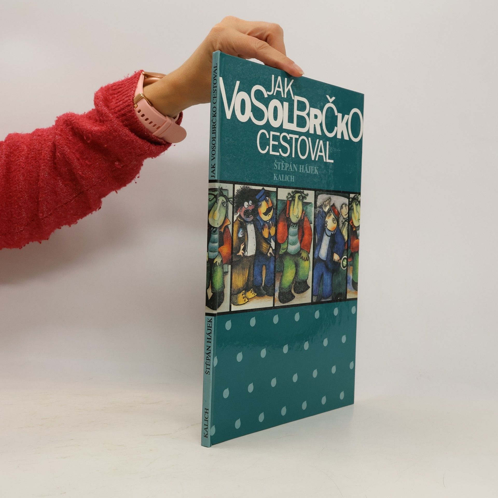 Jak Vosolbrčko cestoval