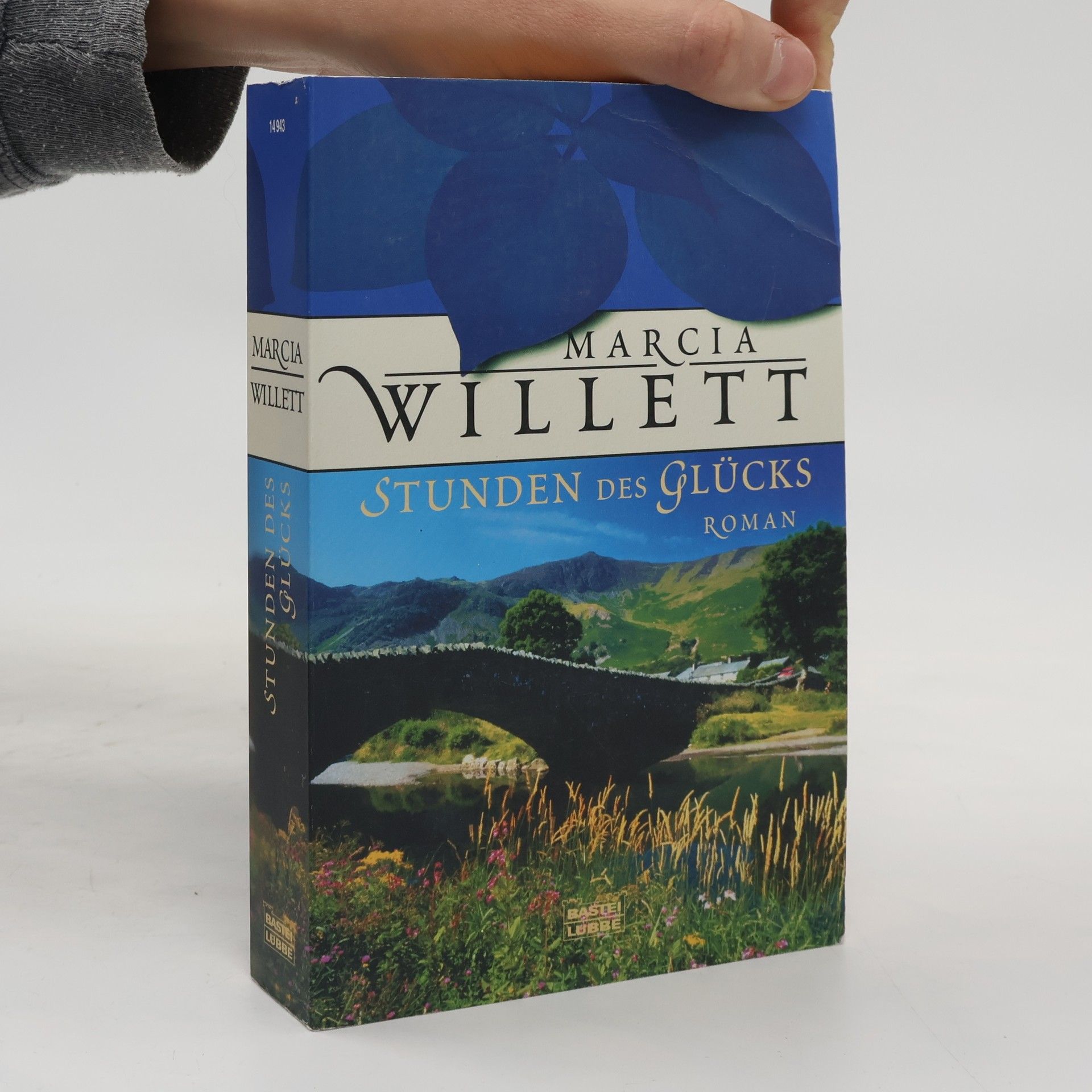 Marcia Willett Stunden des Glücks