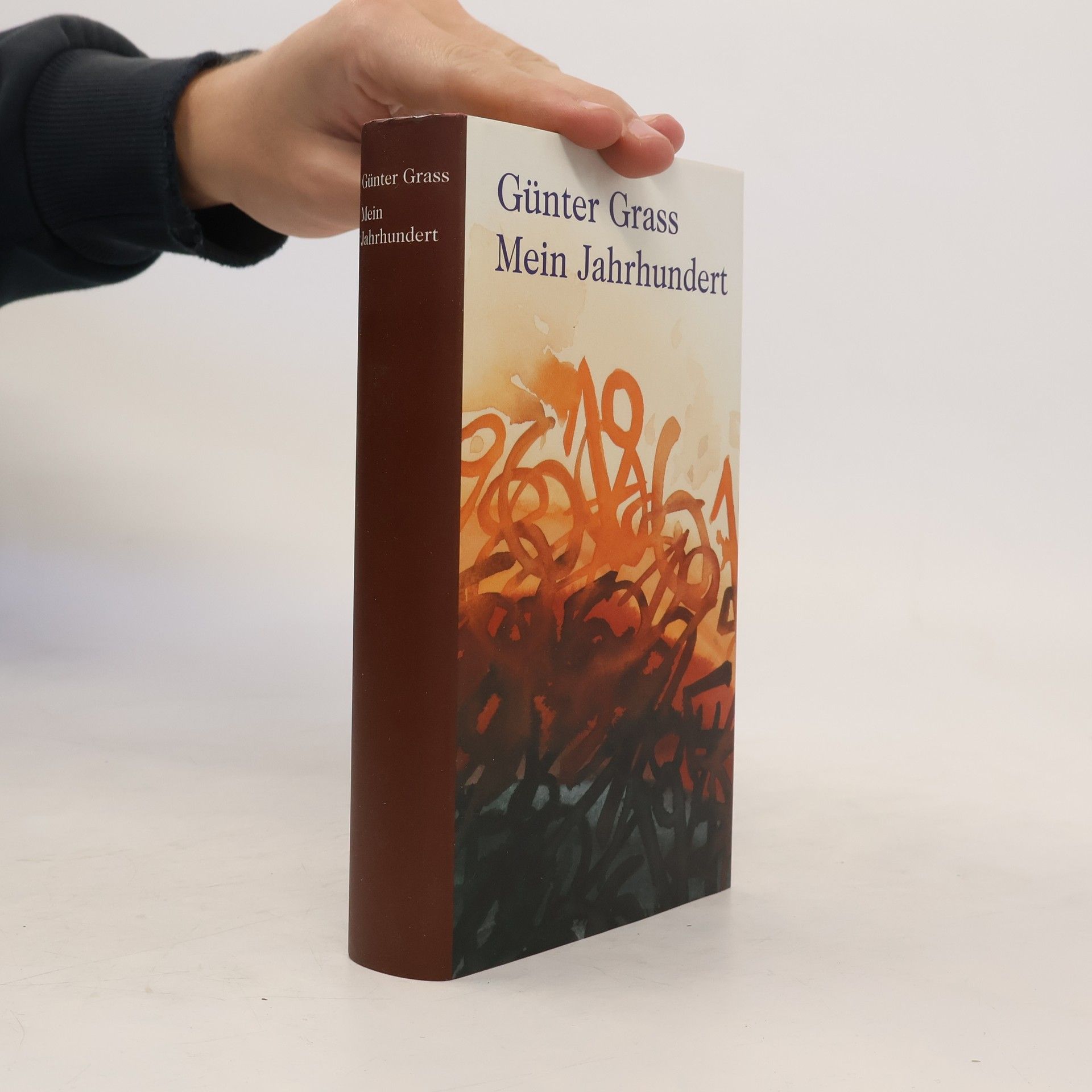 Günter Grass Mein Jahrhundertbuch