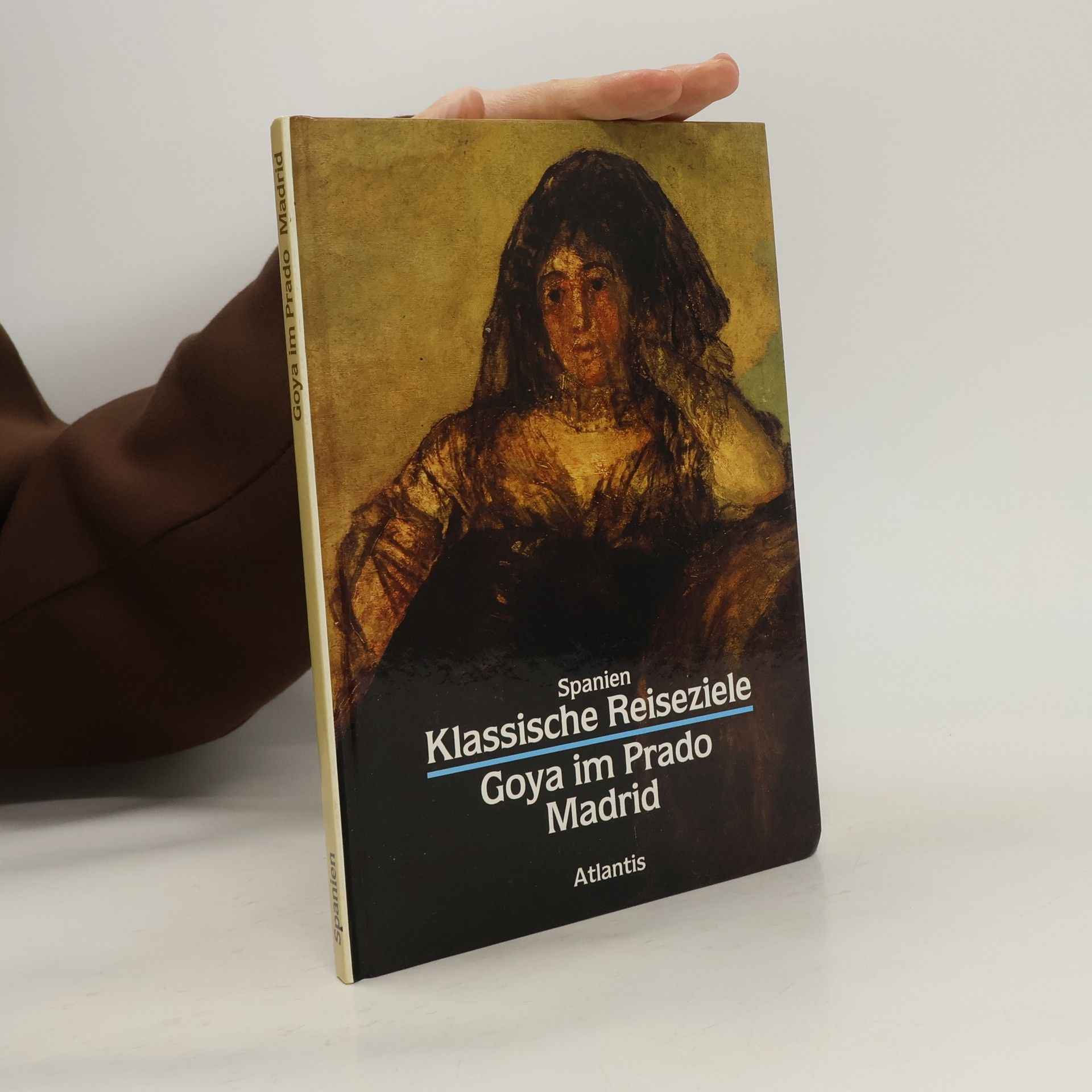 Francisco Goya Goya im Prado, Madrid