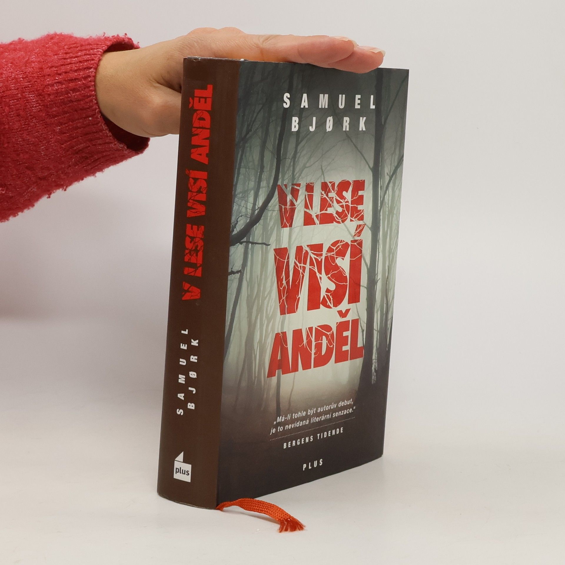 Samuel Bjork V lese visí anděl