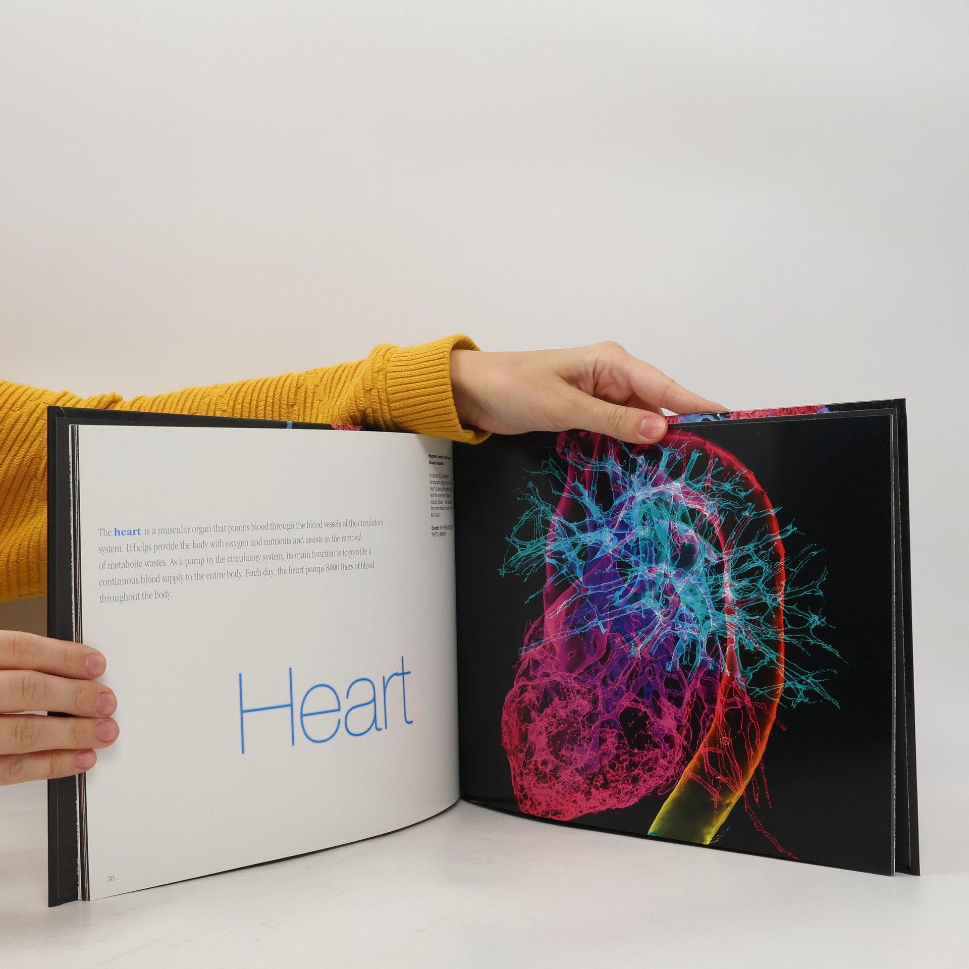 Collectif d'auteurs Photographing the Microcirculation