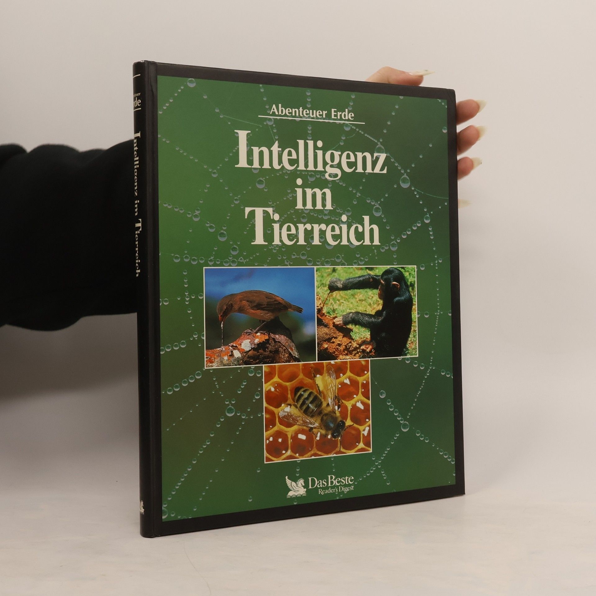 Collectif d'auteurs Intelligenz im Tierreich