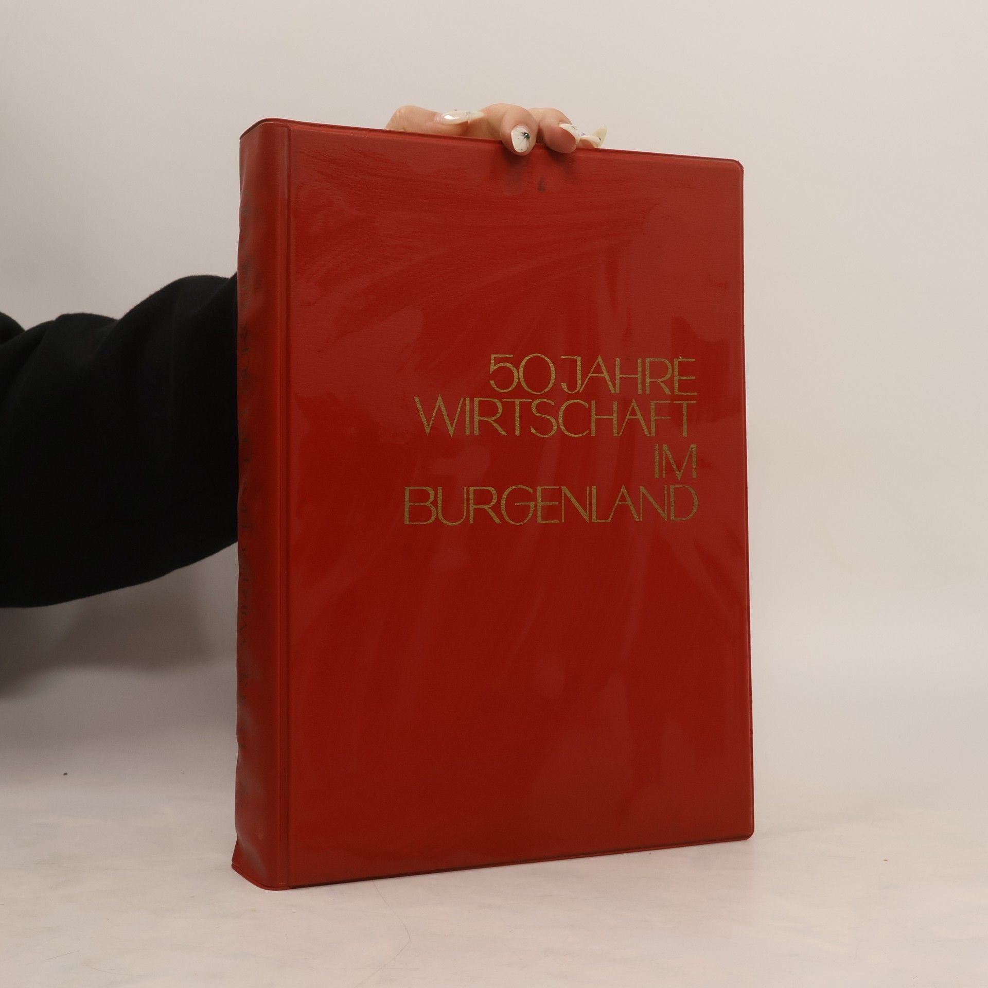 Collectif d'auteurs 50 Jahre Wirtschaft im Burgenland