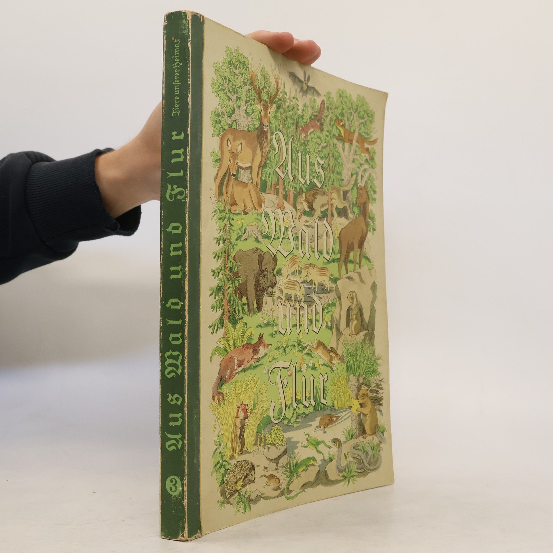 Kolektiv autorů Aus Wald und Flur