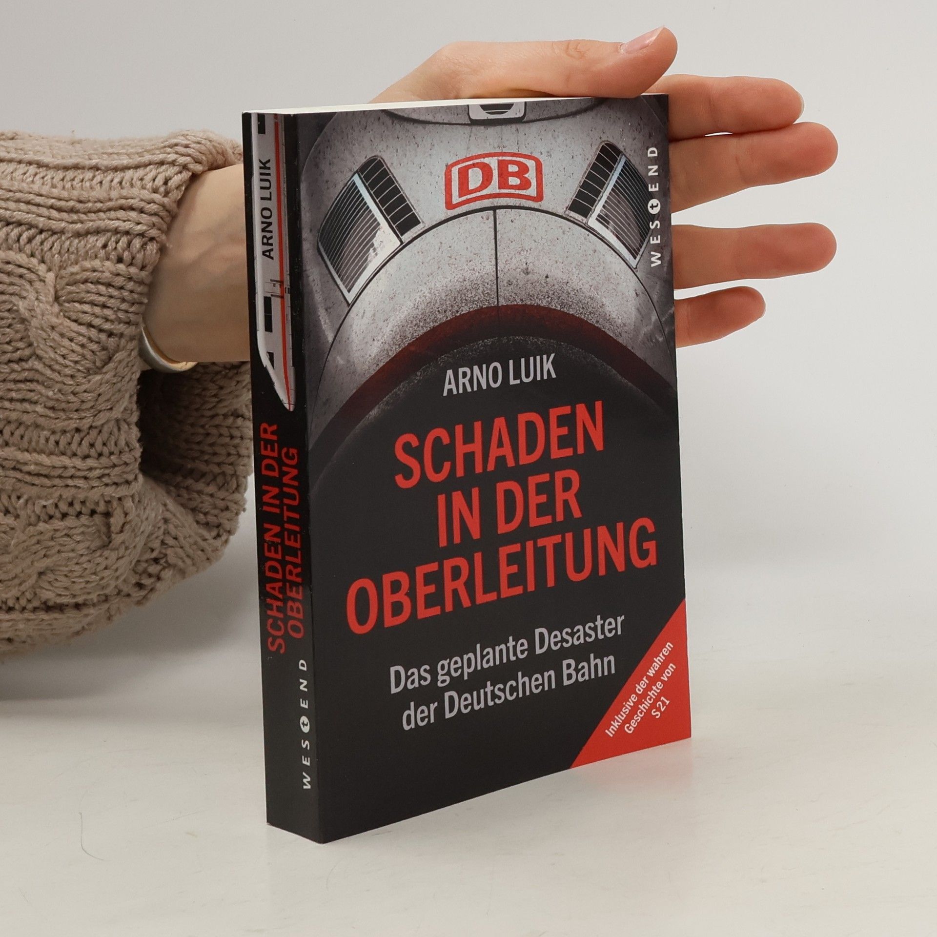Arno Luik Schaden in der Oberleitung
