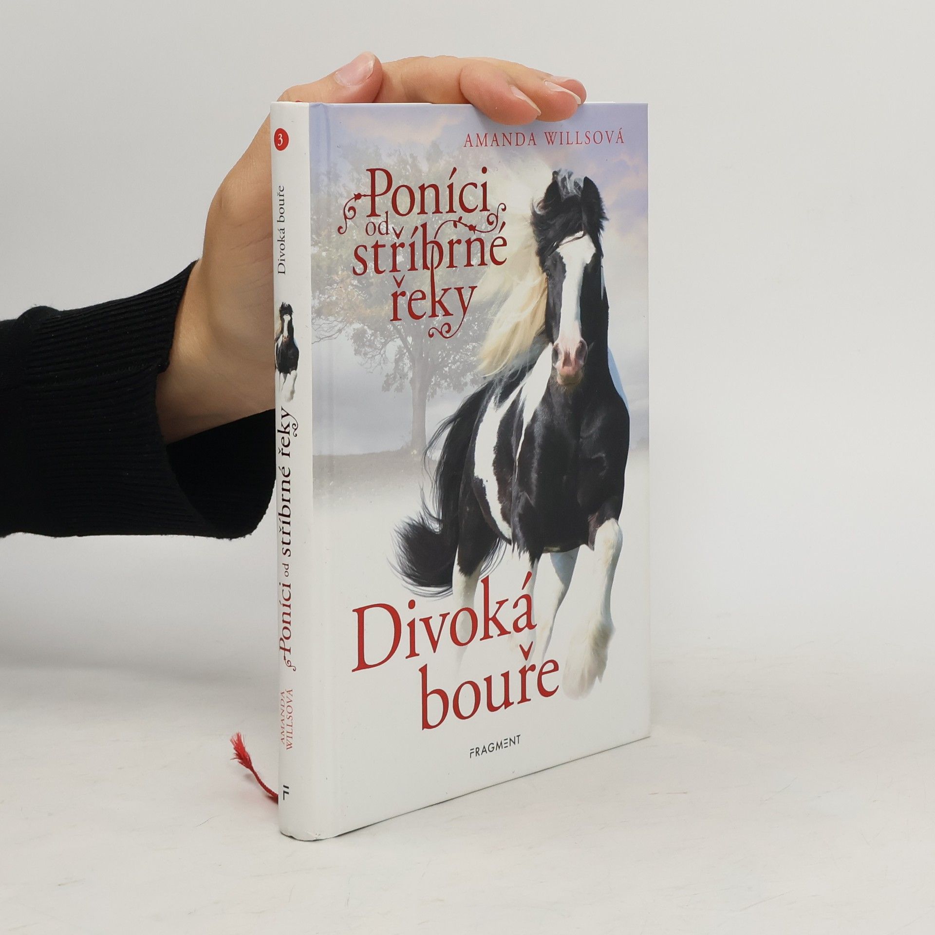 Amanda Wills Divoká bouře