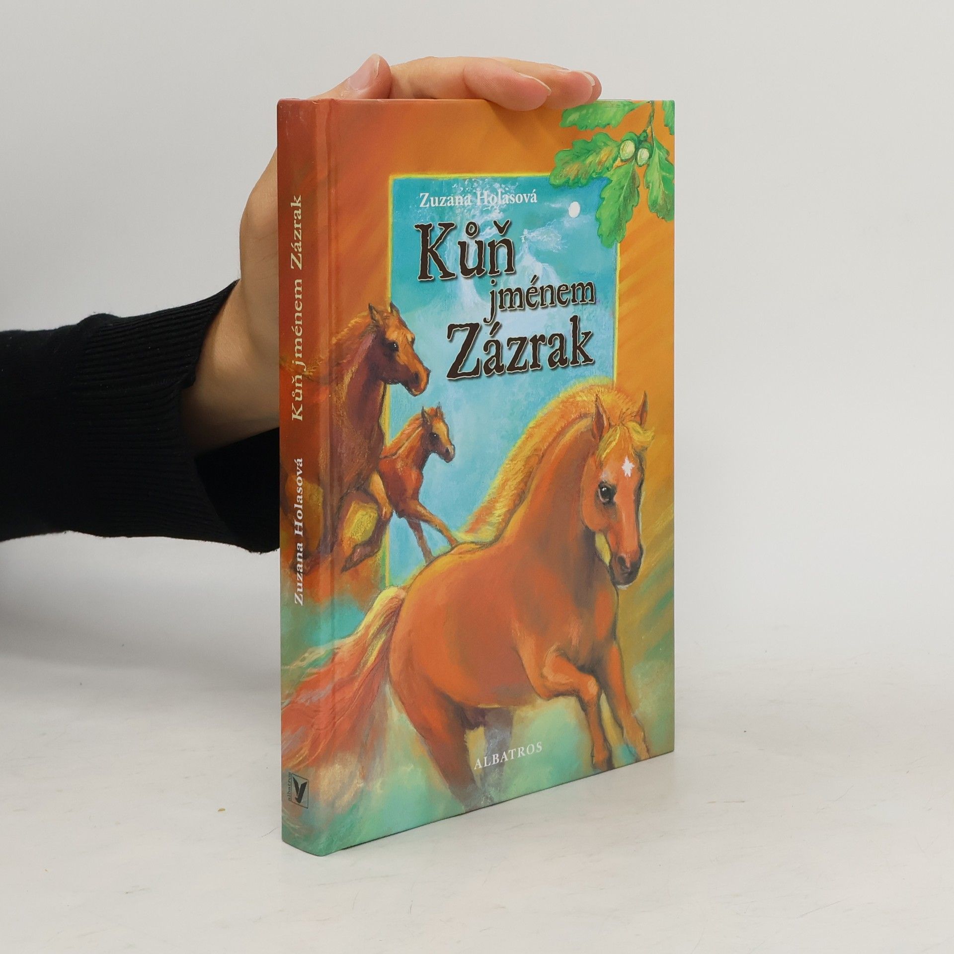 Zuzana Holasova Kůň jménem Zázrak
