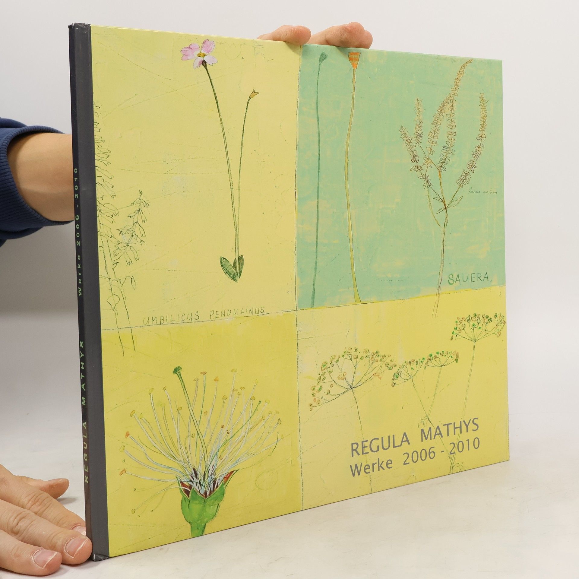Regula Mathys Regula Mathys Werke 2006-2010