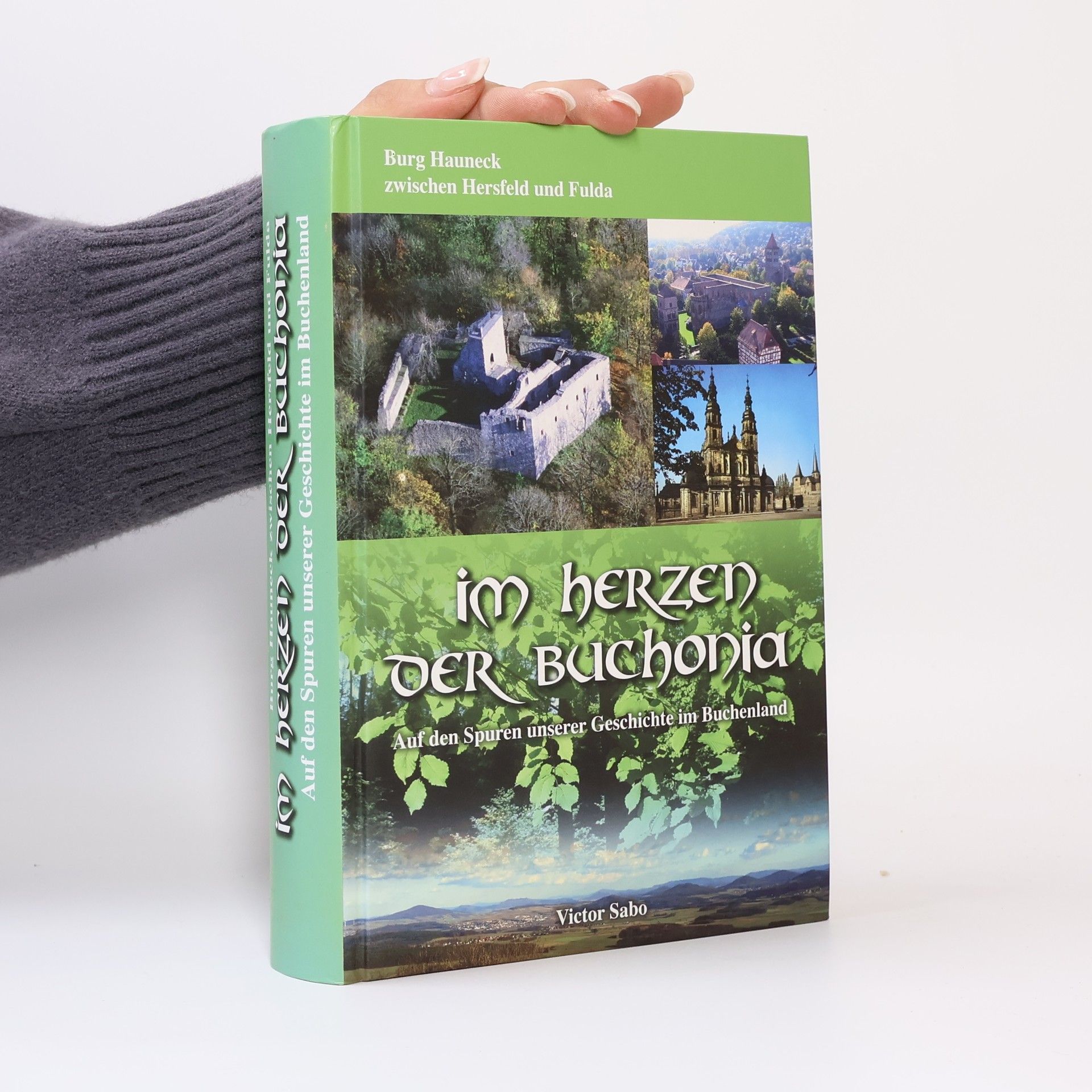 Victor Sabo Im herzen der Buchonia