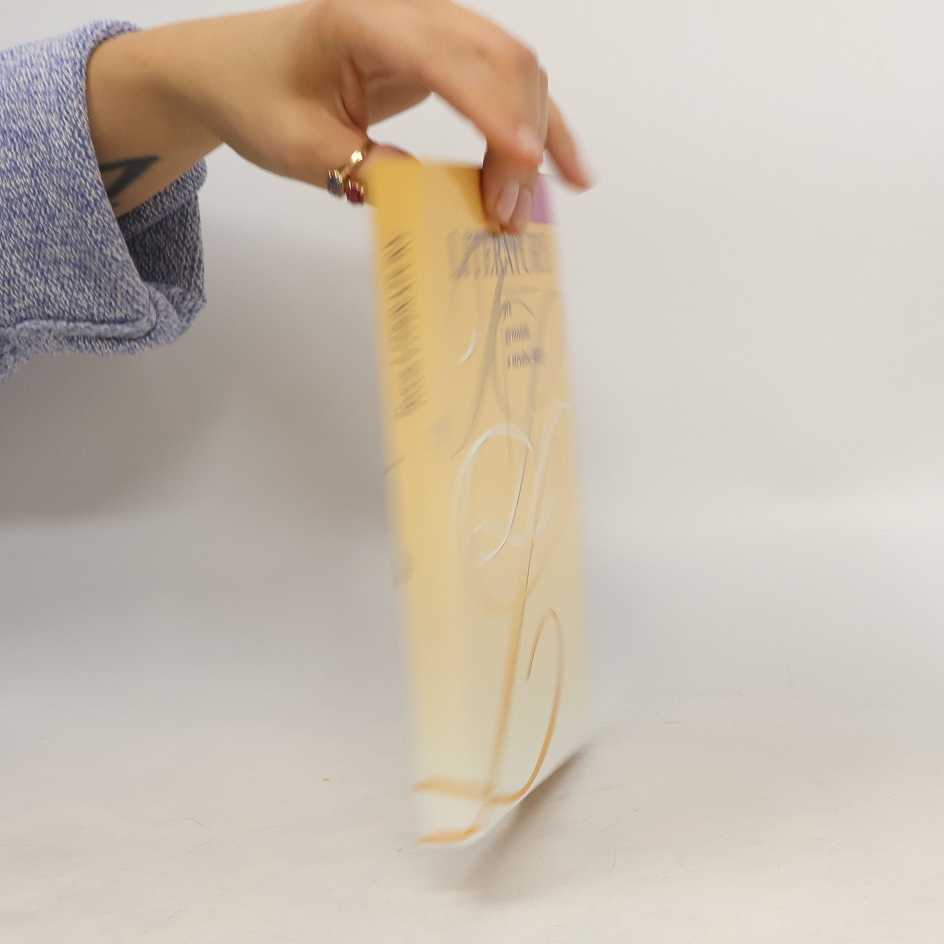 Kolektiv autorů Teória literatúry