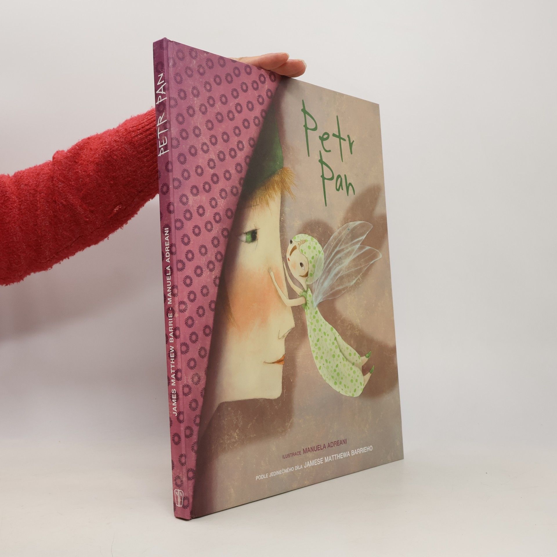 Kolektiv autorů Petr Pan