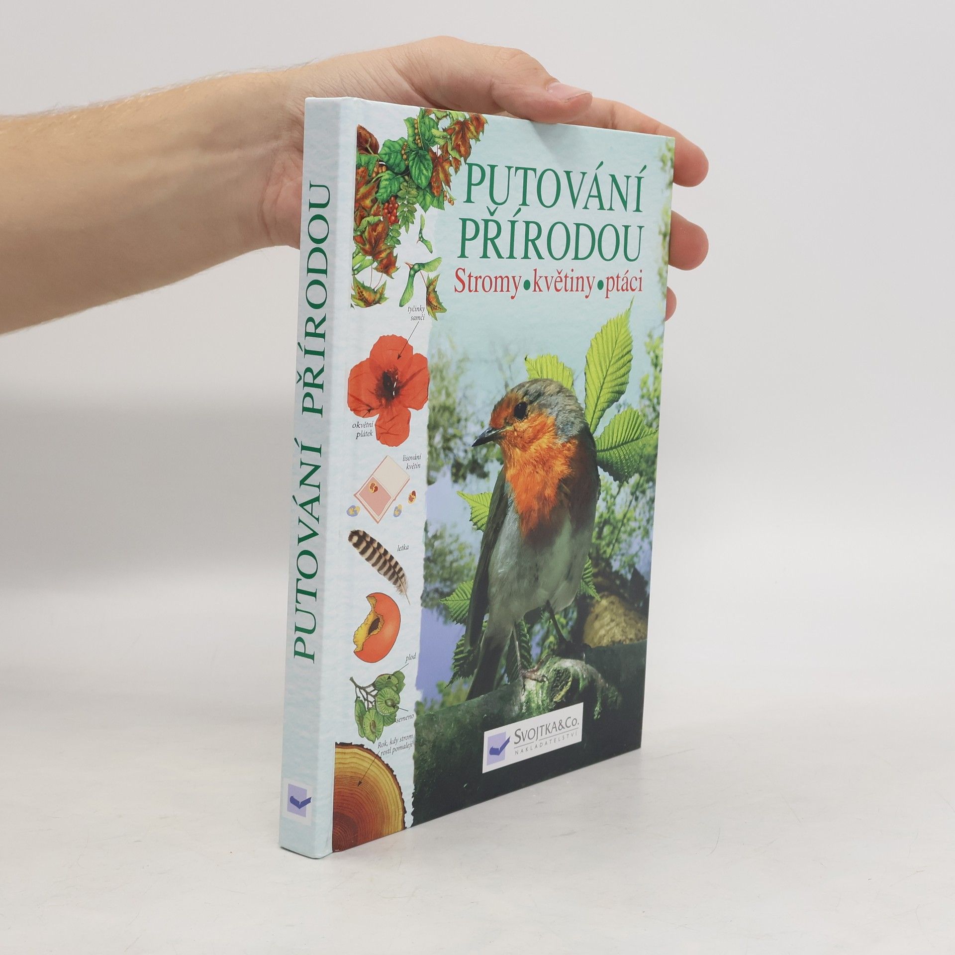 Kolektiv autorů Putování přírodou: Stromy, květiny, ptáci