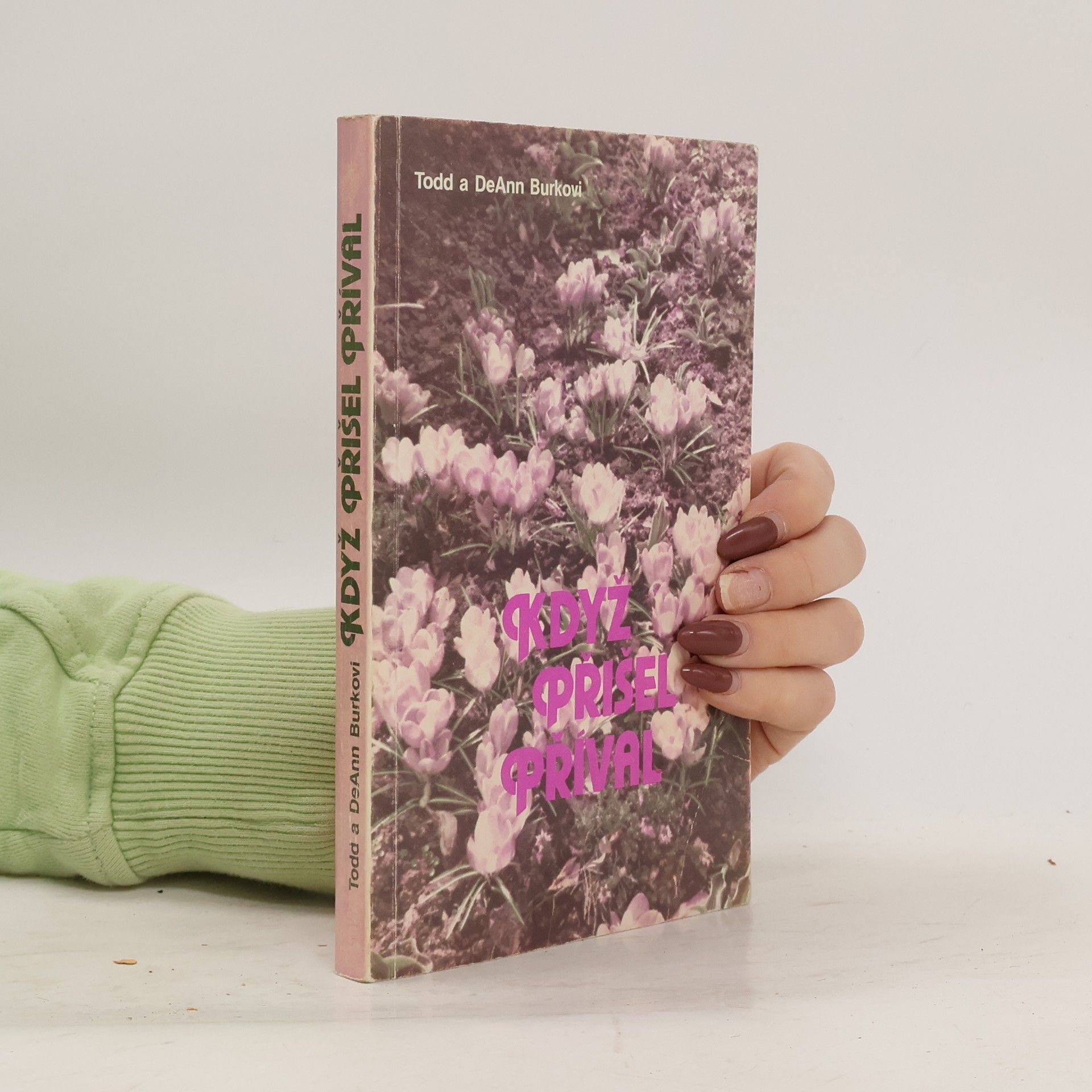 Todd Burke Když přišel příval