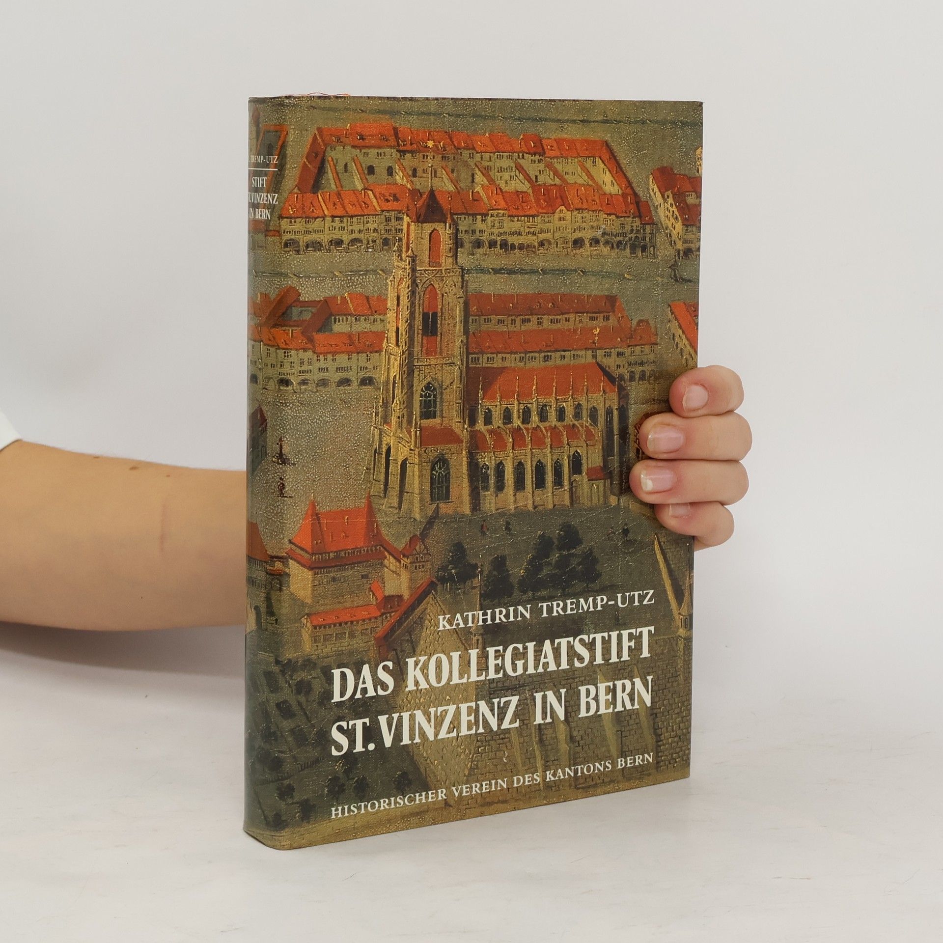 Das Kollegiatstift St. Vinzenz in Bern