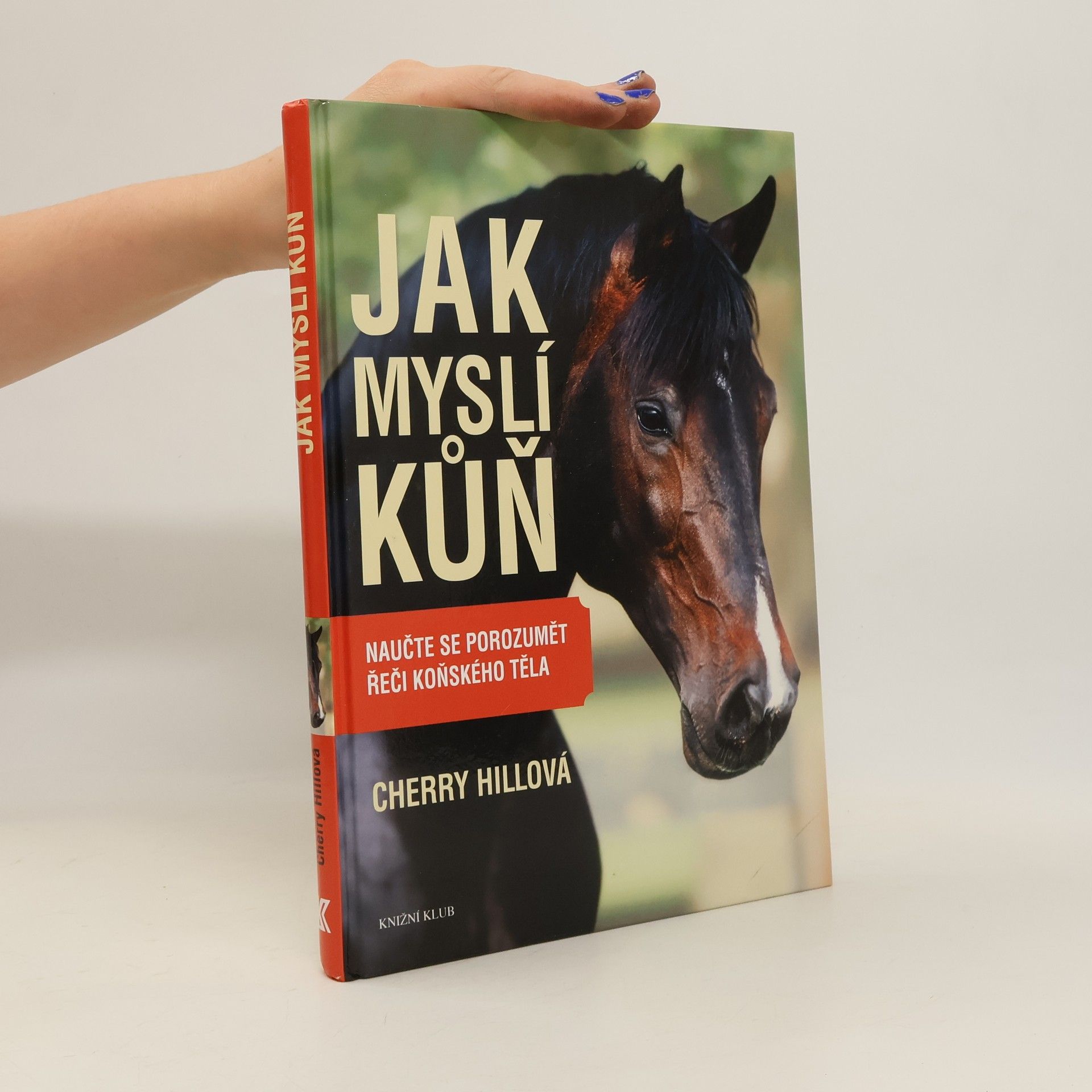 Cherry Hill Jak myslí kůň