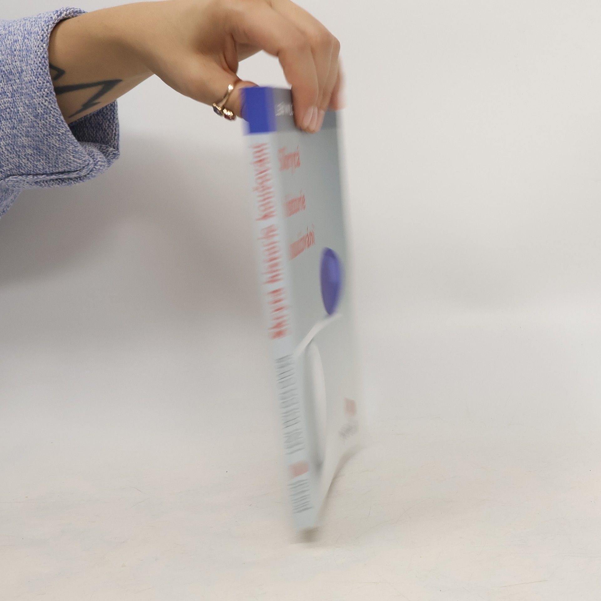 Leni Wildflower Skrytá historie koučování