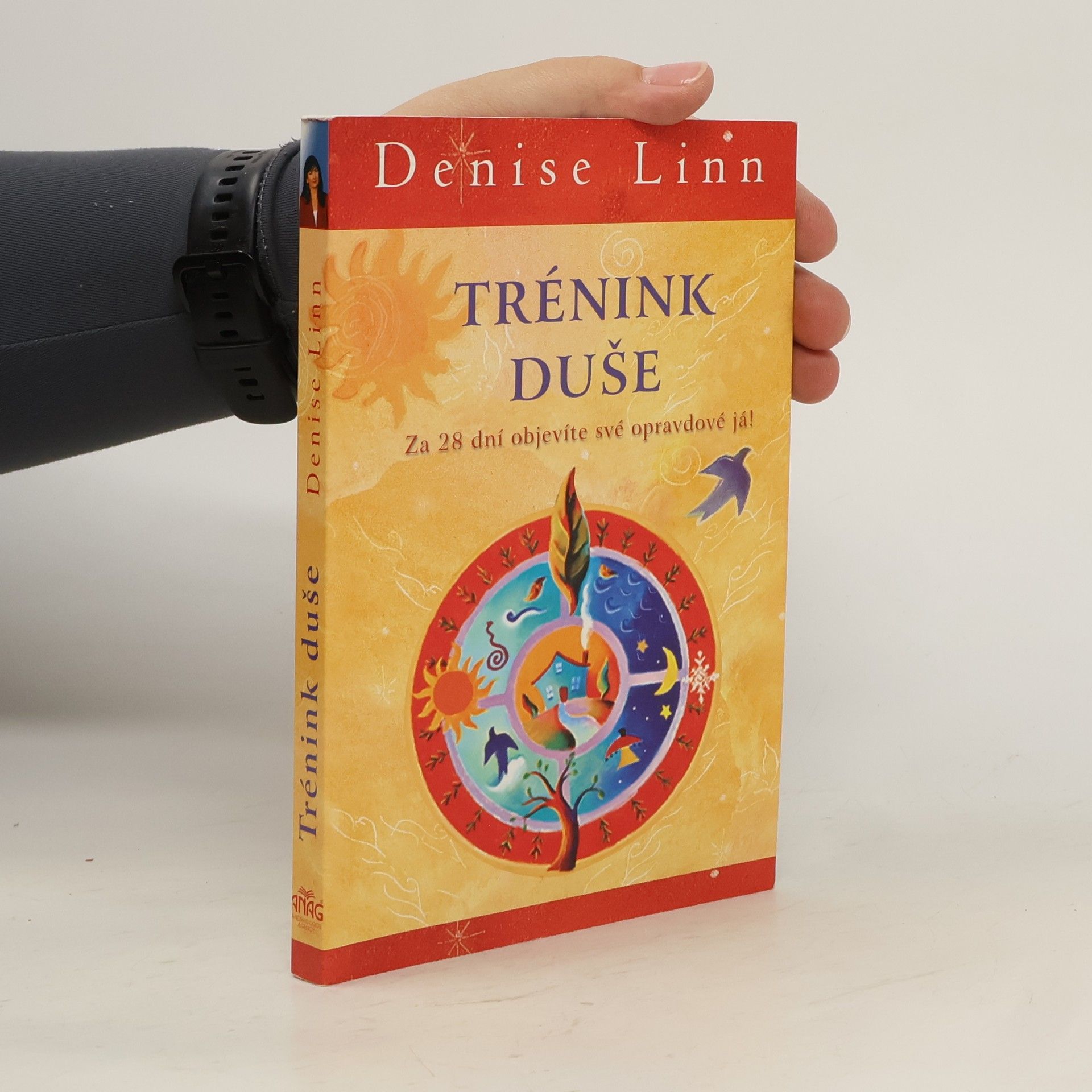 Denise Linn Trénink duše: Za 28 dní objevíte své opravdové já!