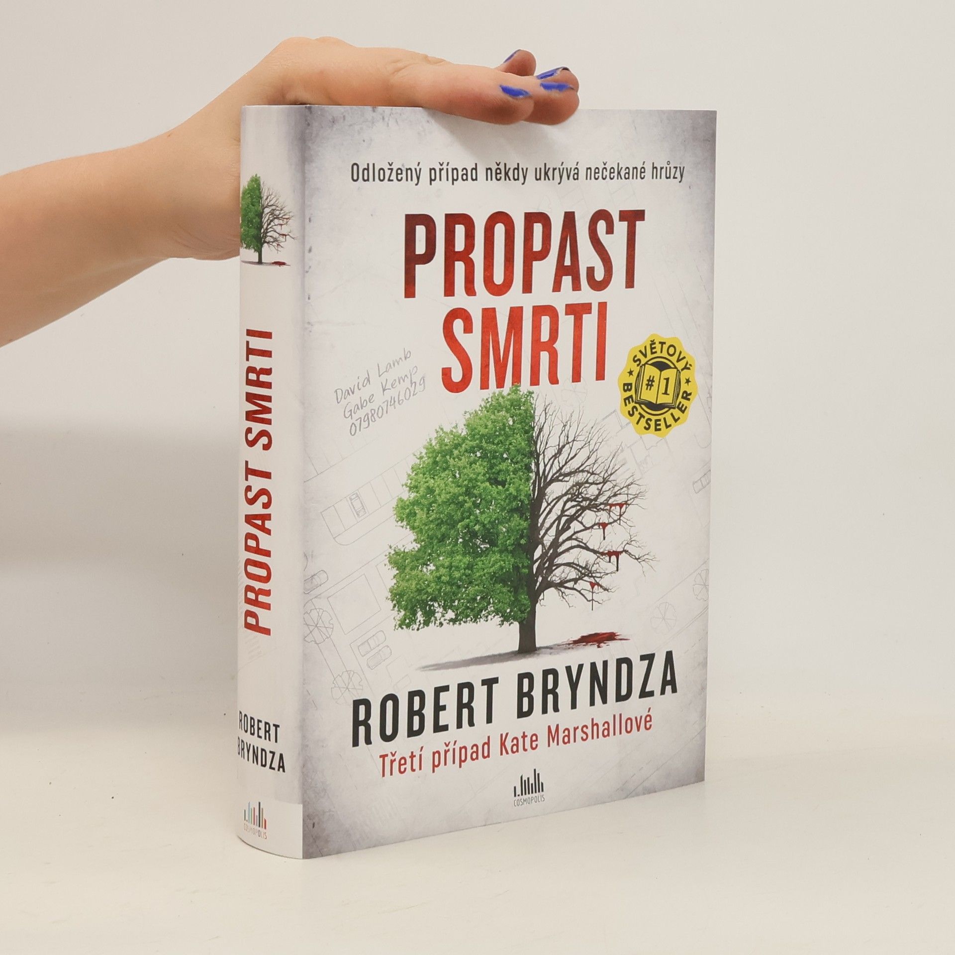 Robert Bryndza Propast smrti