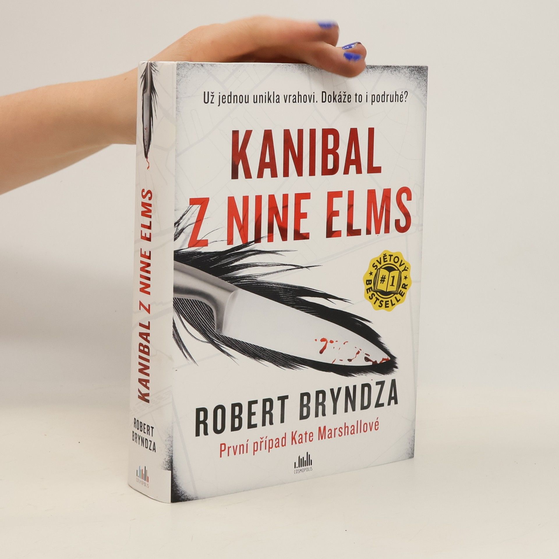 Robert Bryndza Kanibal z Nine Elms