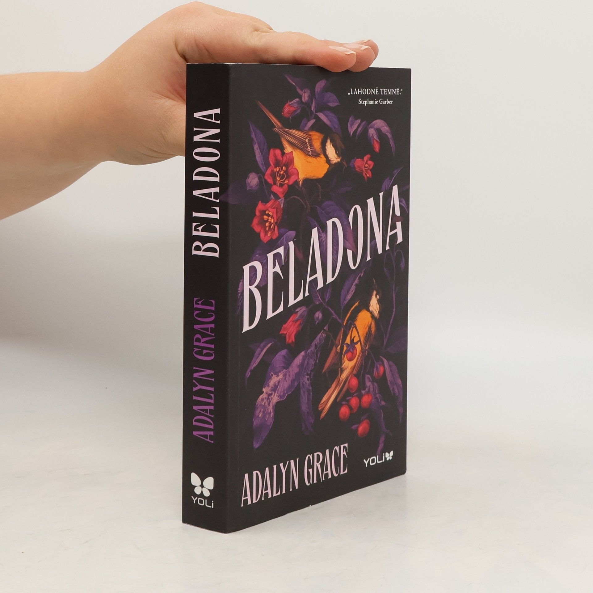 Adalyn Grace Beladona