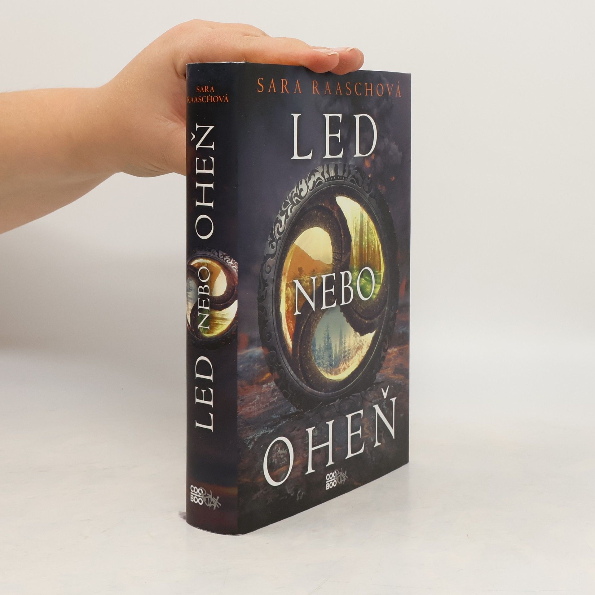 Sara Raasch Led nebo oheň