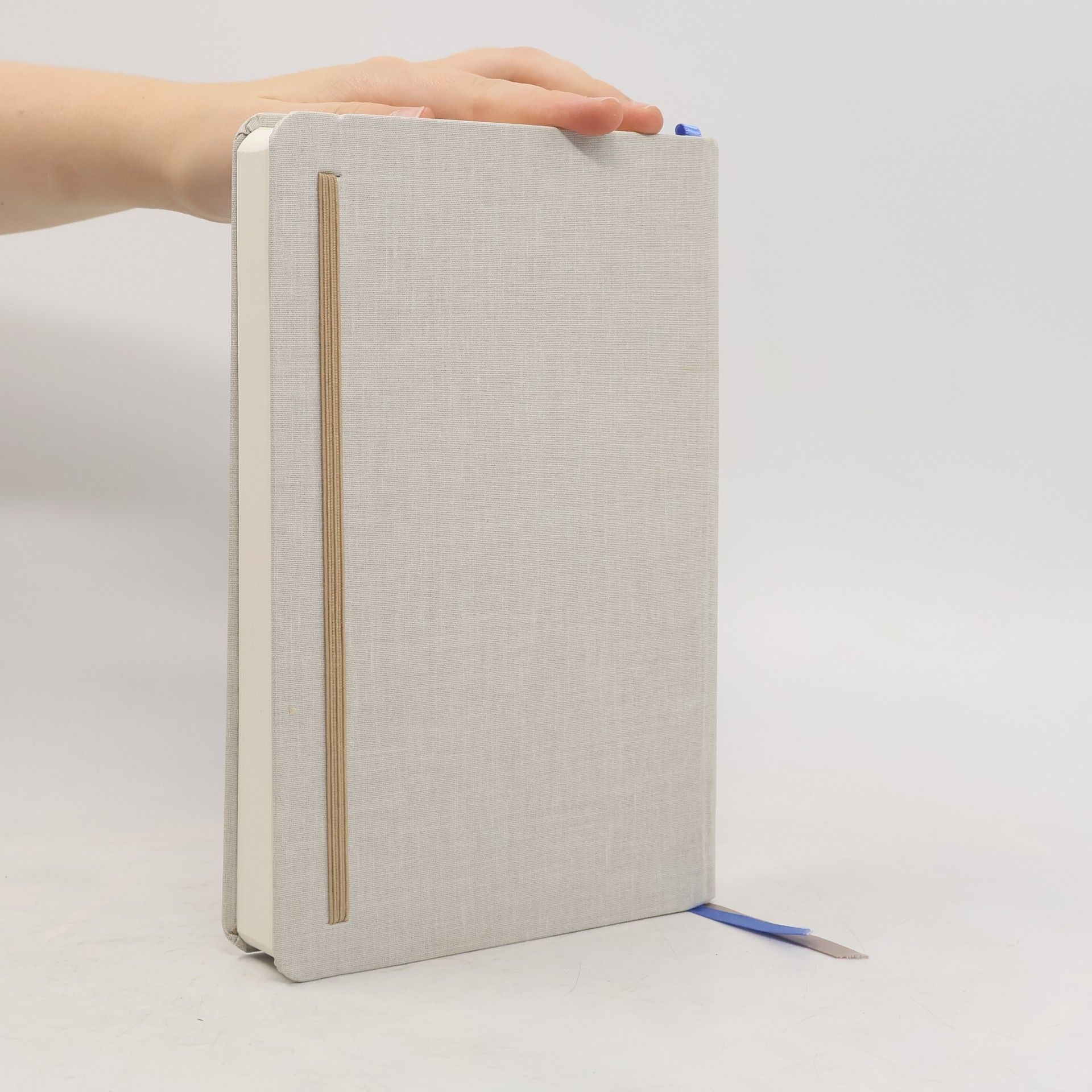 Full Focus Planner - Oatmeal
