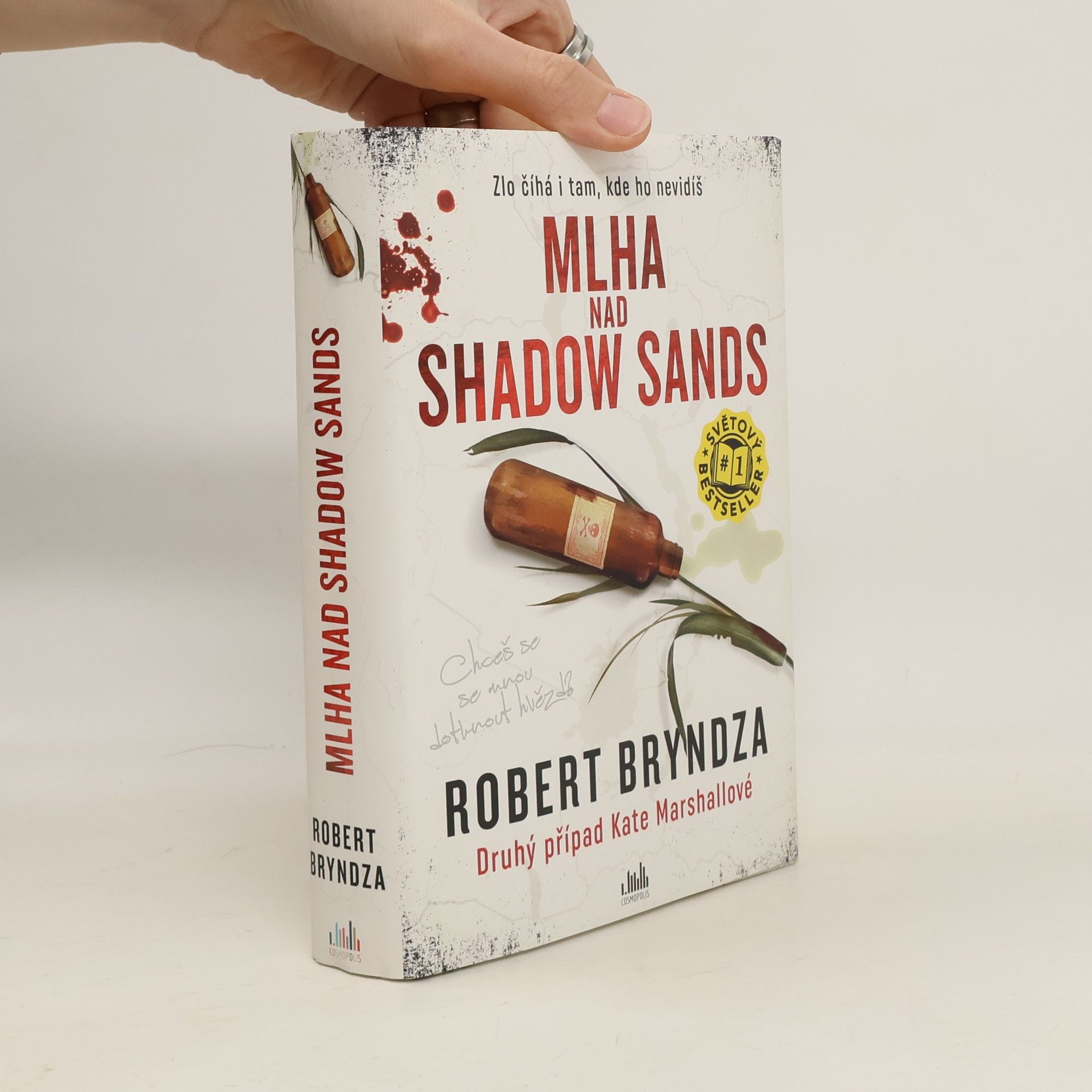 Robert Bryndza Mlha nad Shadow Sands