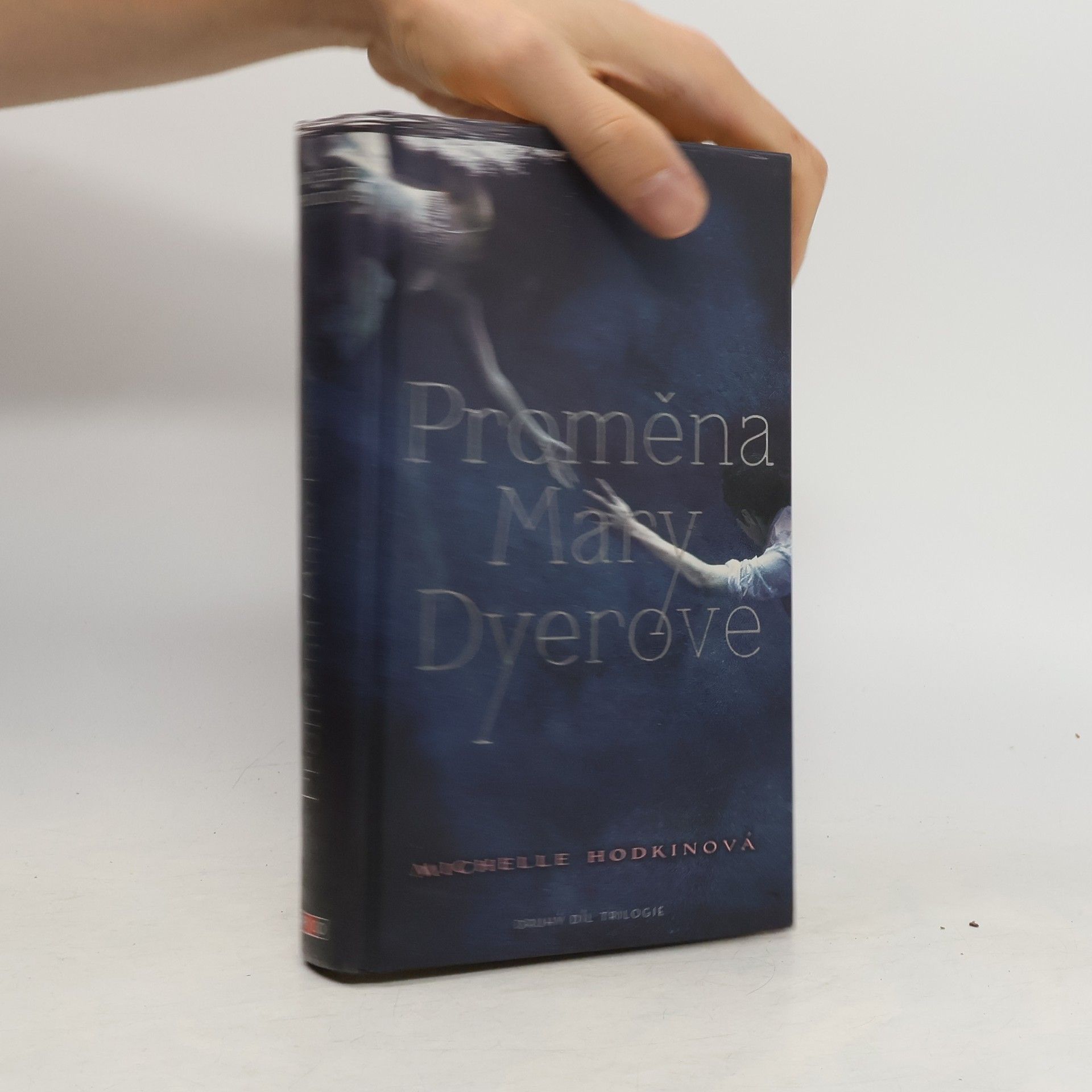 Michelle Hodkin Proměna Mary Dyerové