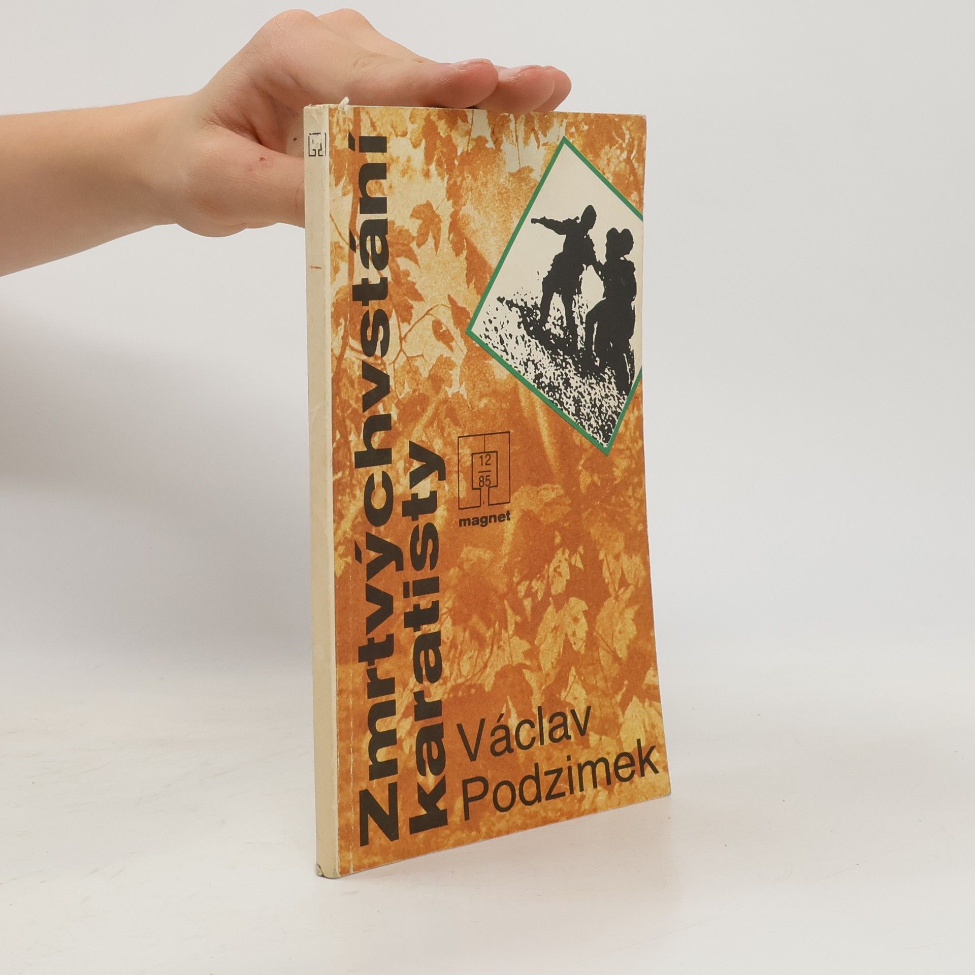 Zmrtvýchvstání karatisty