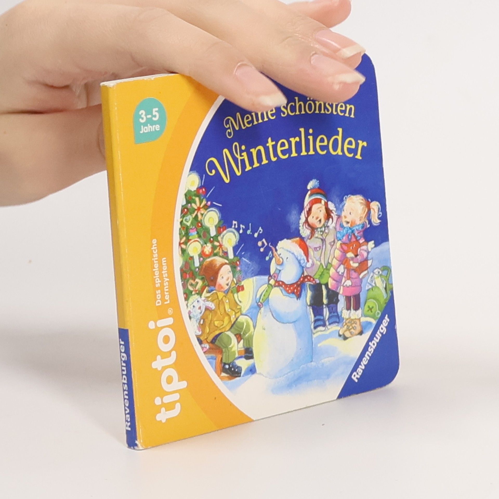 Autorenkollektiv Meine schönsten Winterlieder